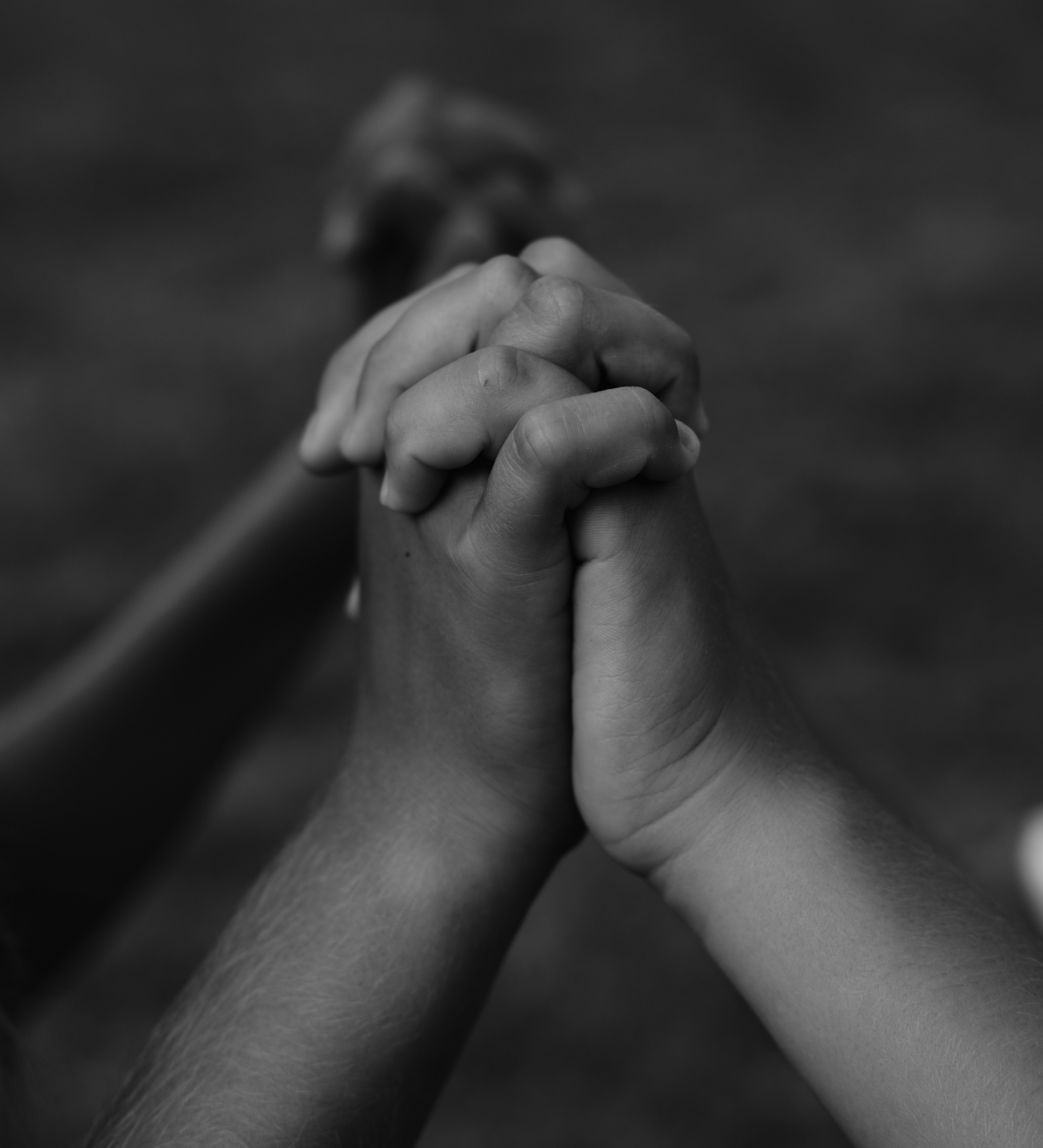 Маленькие сердца, большое тепло. Фотограф Карелина Полина