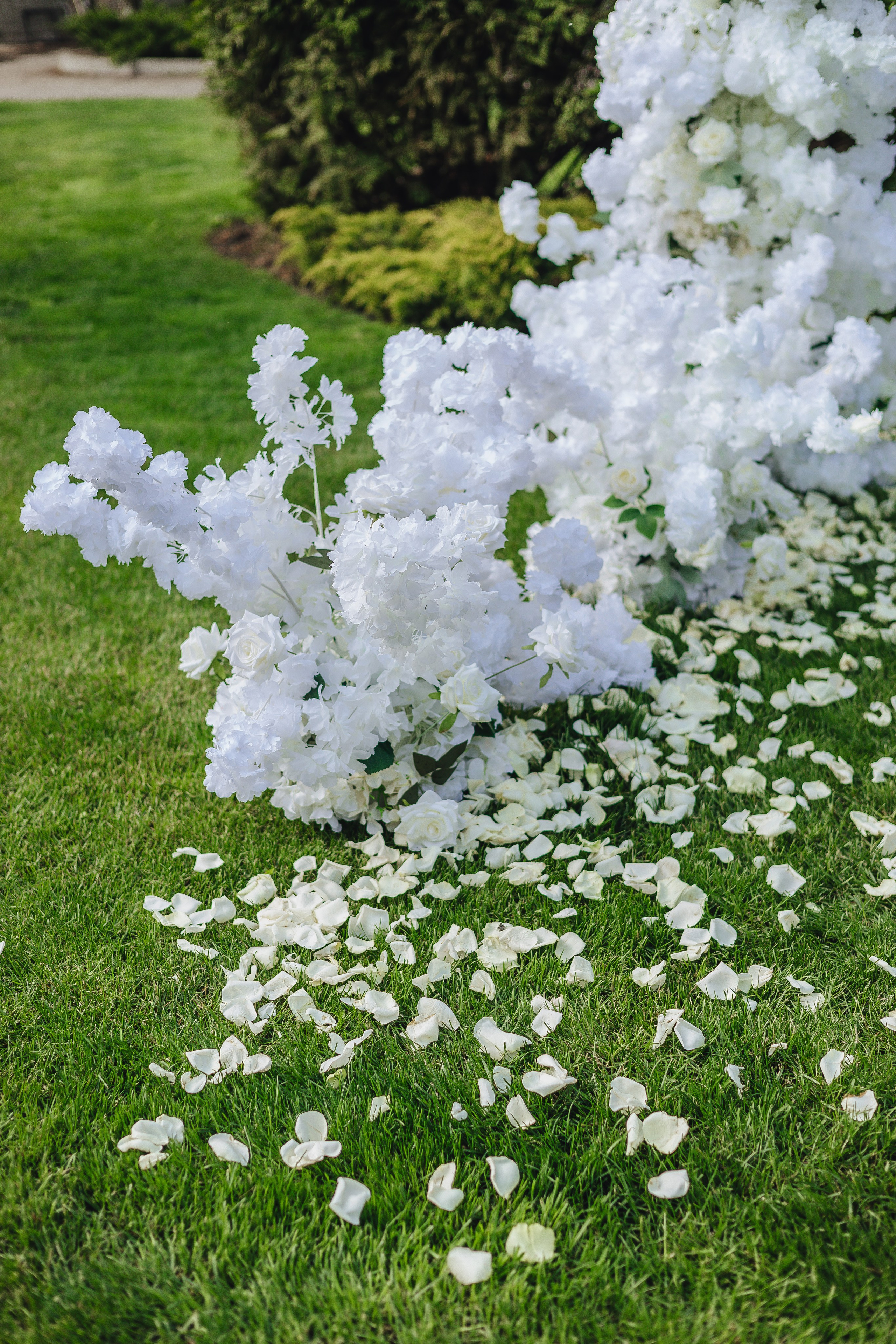 Настя и Вова. Свадебный и семейный фотограф Пушкин Царское Село СПБ Питер Санкт-Петербург и Рязань Ольга Козлова
