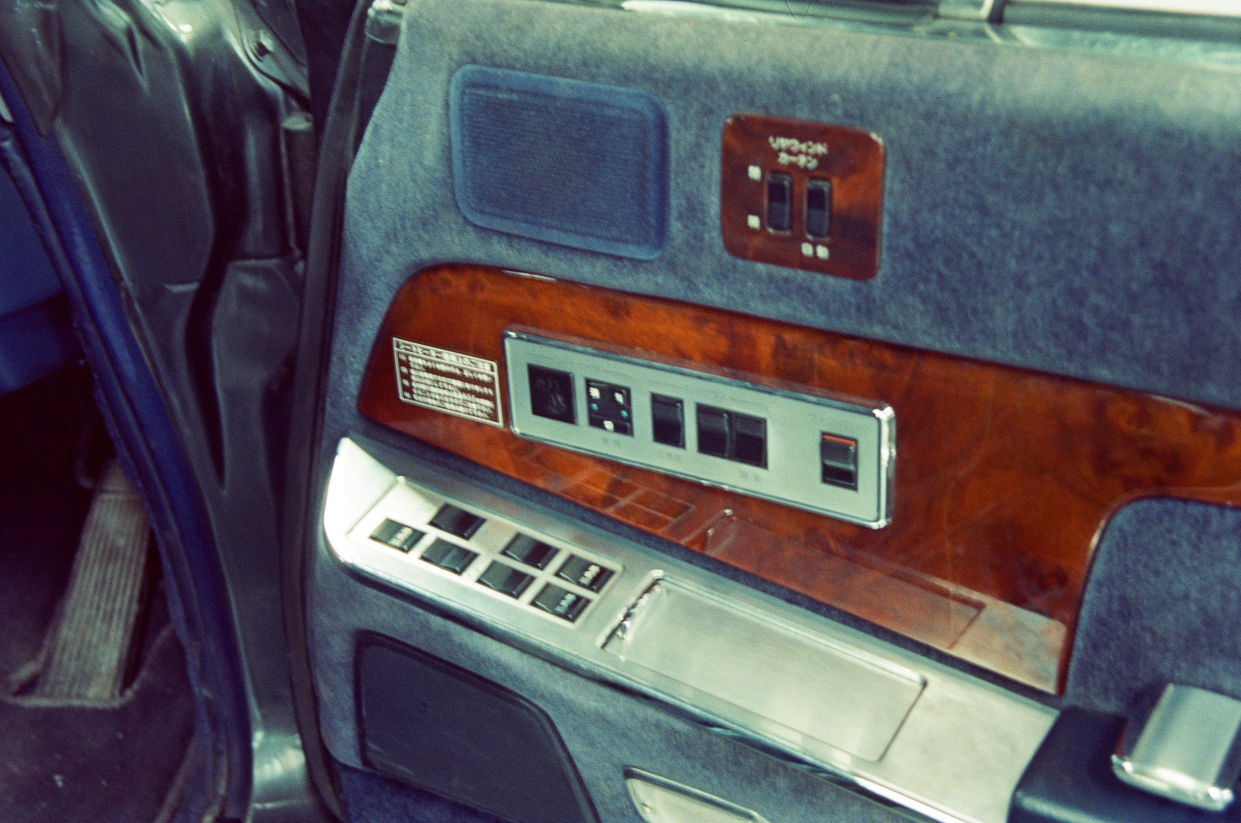 #05пленка. Kodak Vision 3 500T. Minolta Dynax 5. 28-80. Фотограф Наталья Вершинина