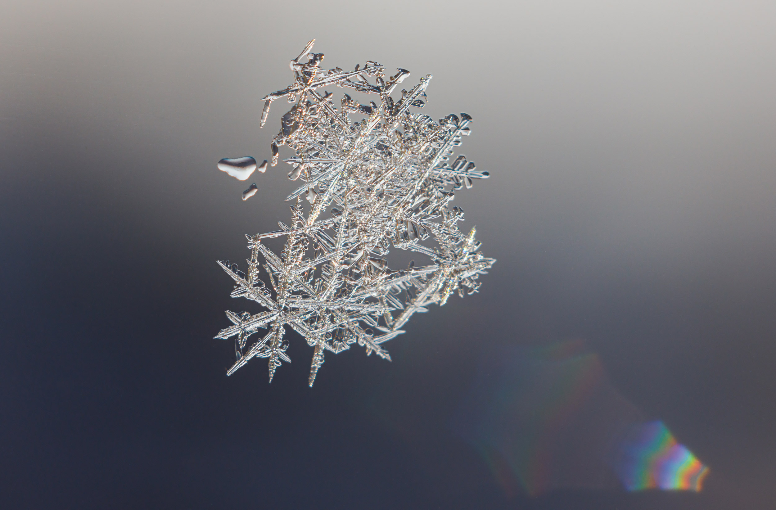 Снежинки. Фотограф Евгений Стельмах в Молодечно и Минске