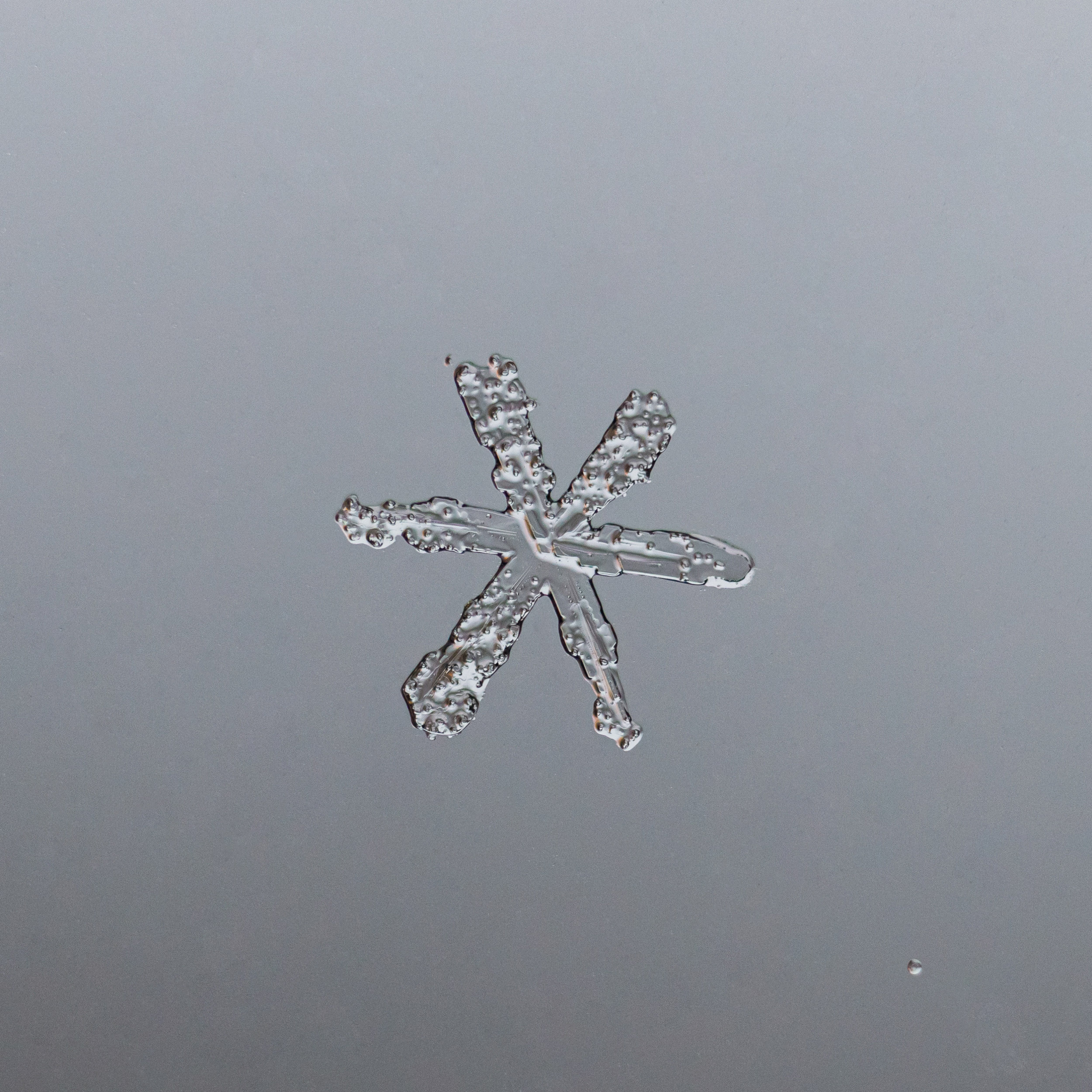 Снежинки. Фотограф Евгений Стельмах в Молодечно и Минске