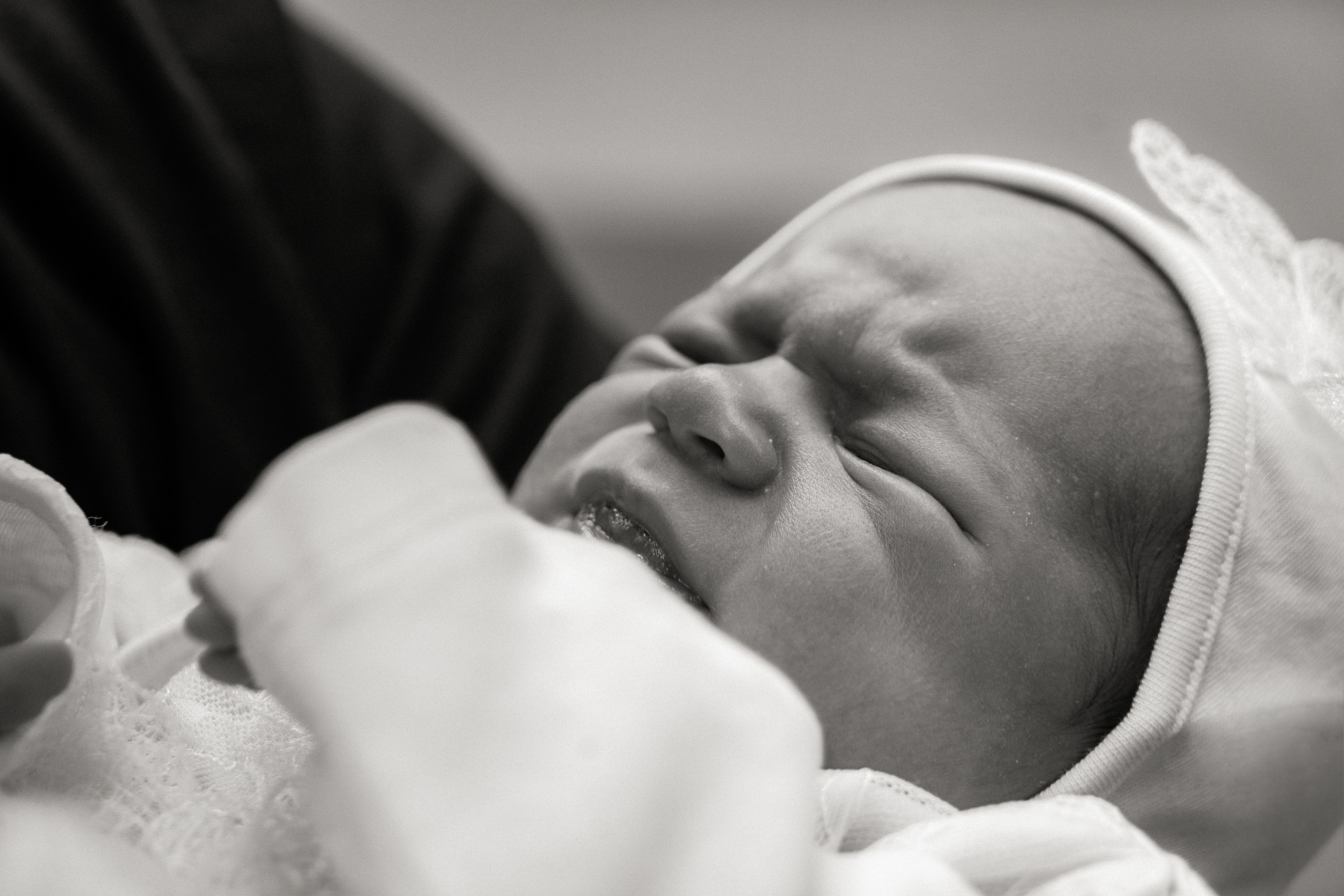 Выписка. Https://malovafoto.ru