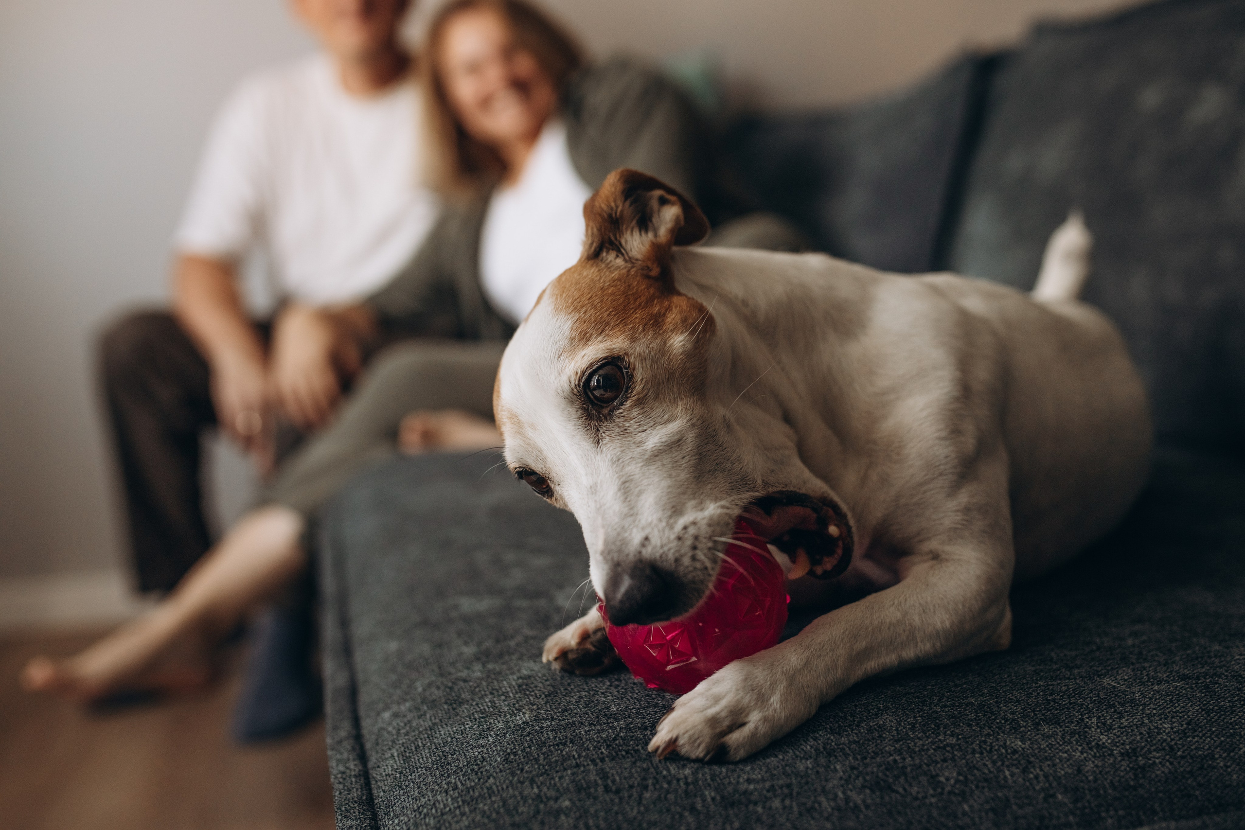 Оля и Саша. Фотограф Людмила Оюн