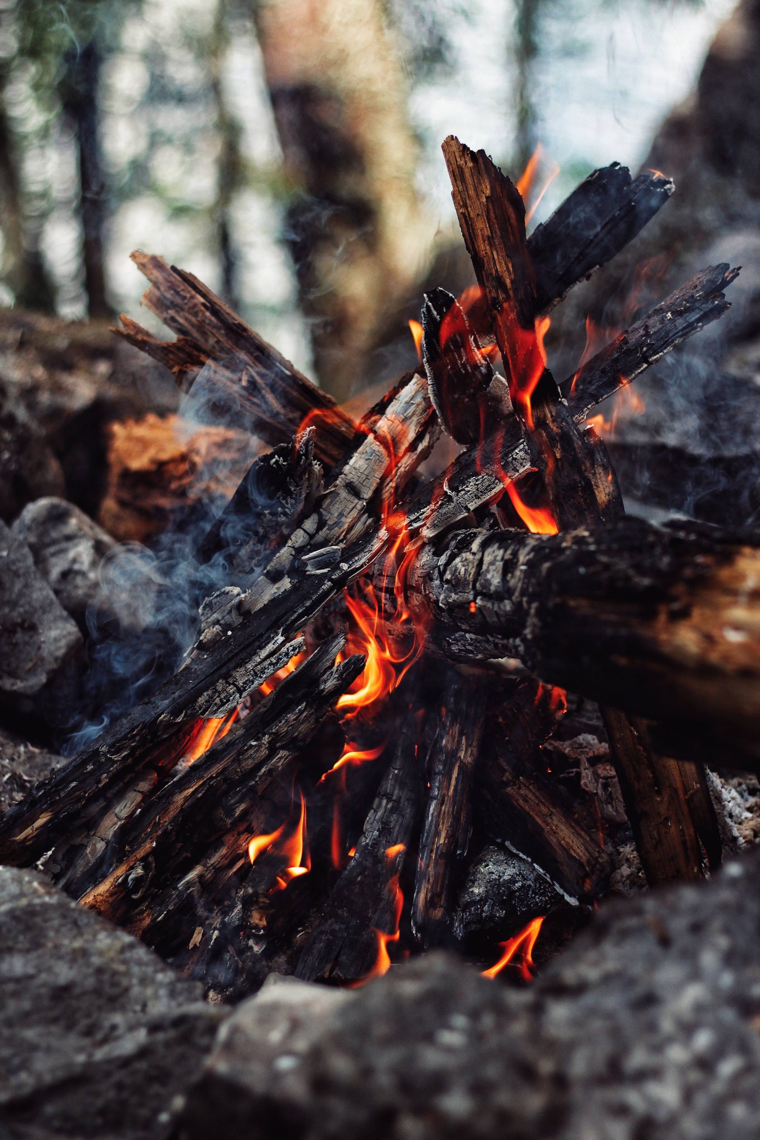 Природа. Фотограф Ирина Иванова