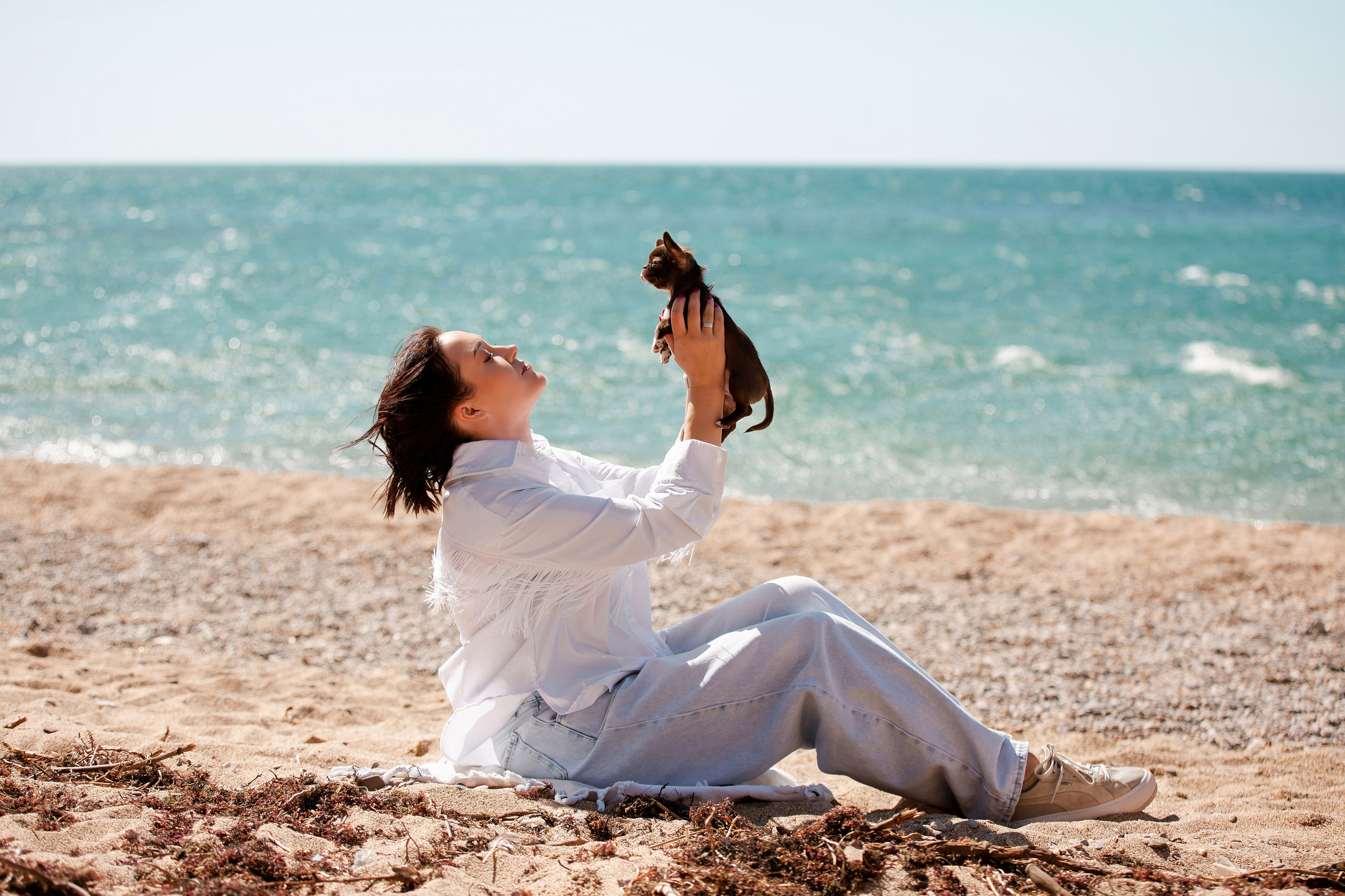 Веймаранер и чихуахуа в Крыму. Фотограф-анималист в Краснодаре Маша Мельникова