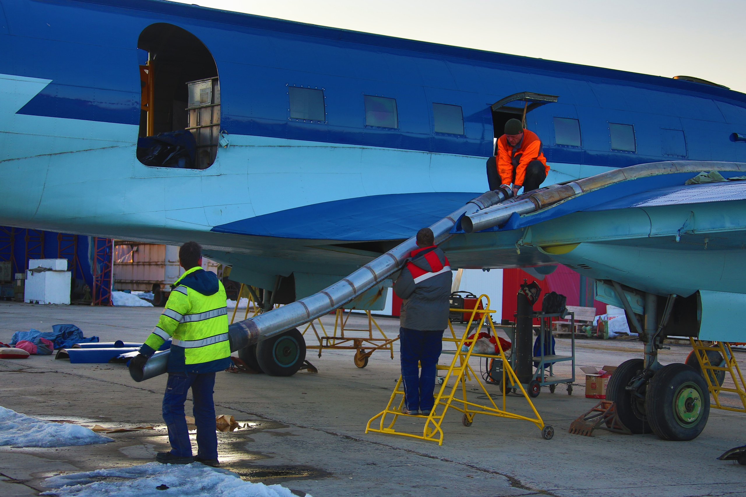 Ил-14Т «Голубая Мечта» (2026 г.). Фотоальбом показывающий увлекательный мир авиации и мир медведей Андрея Иванова