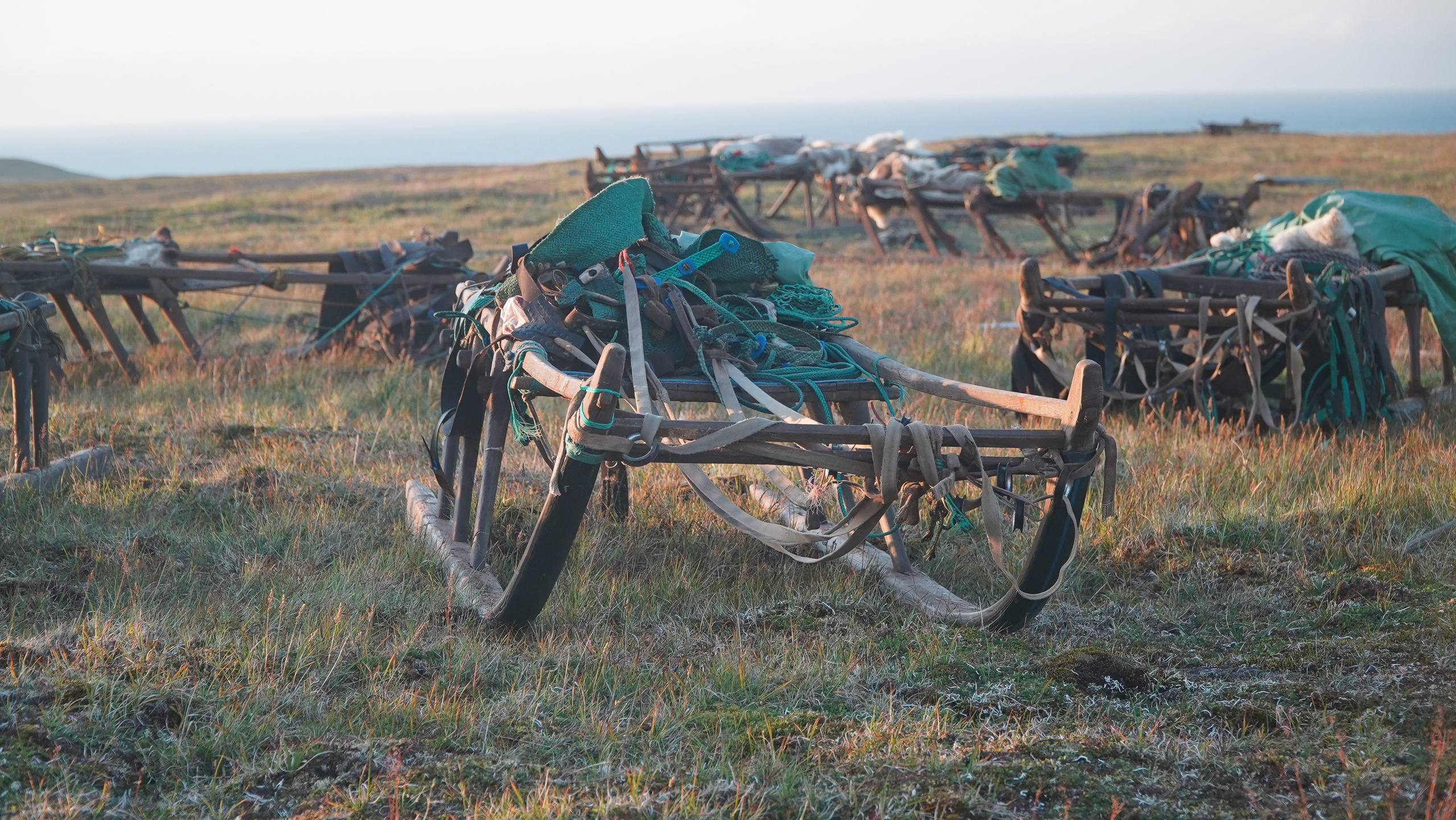 Амдерма — наука (2020 г.). Фотоальбом показывающий увлекательный мир авиации и мир медведей Андрея Иванова