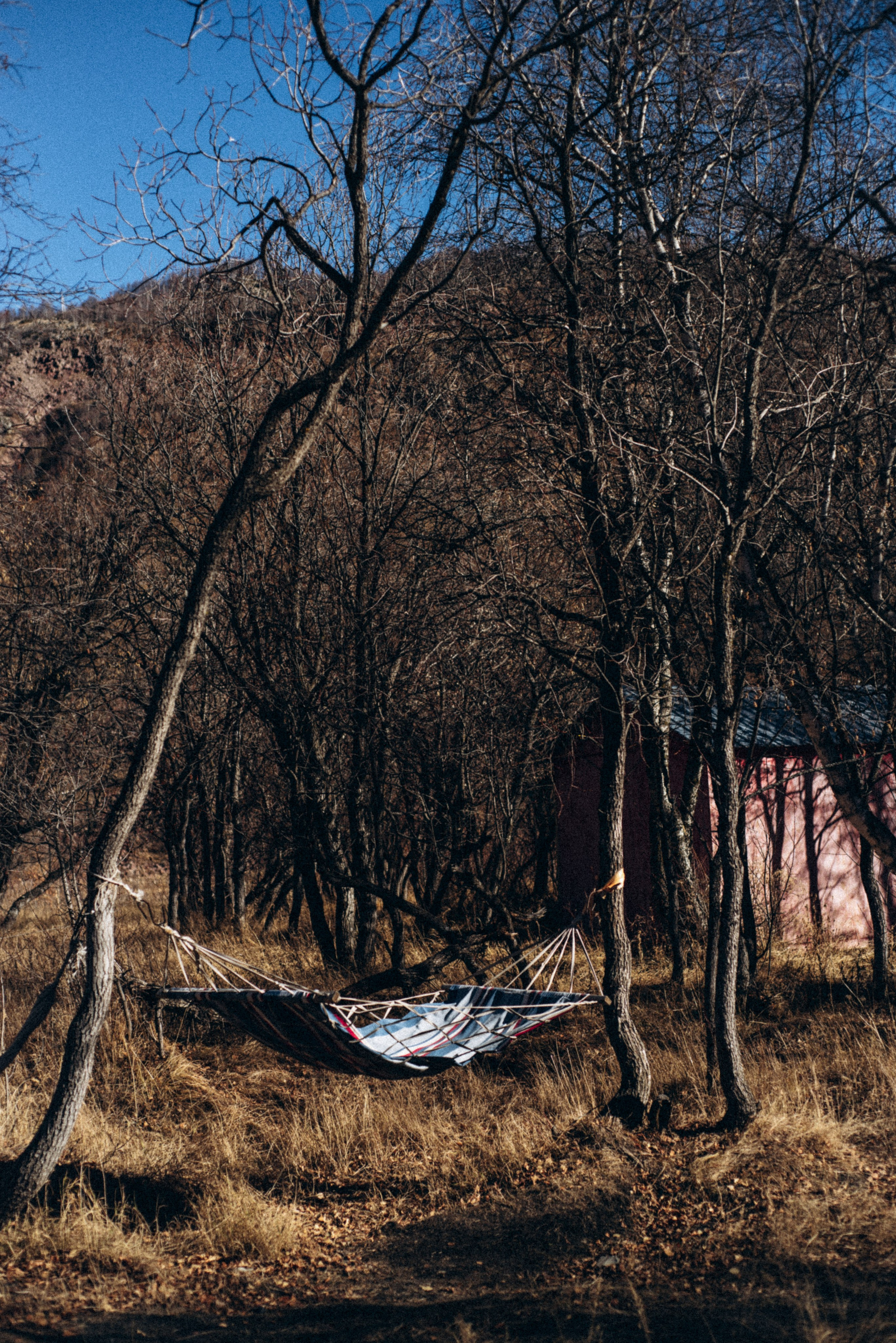 Долина Труссо, Грузия 🇬🇪 «PVD Club». Anita_photo