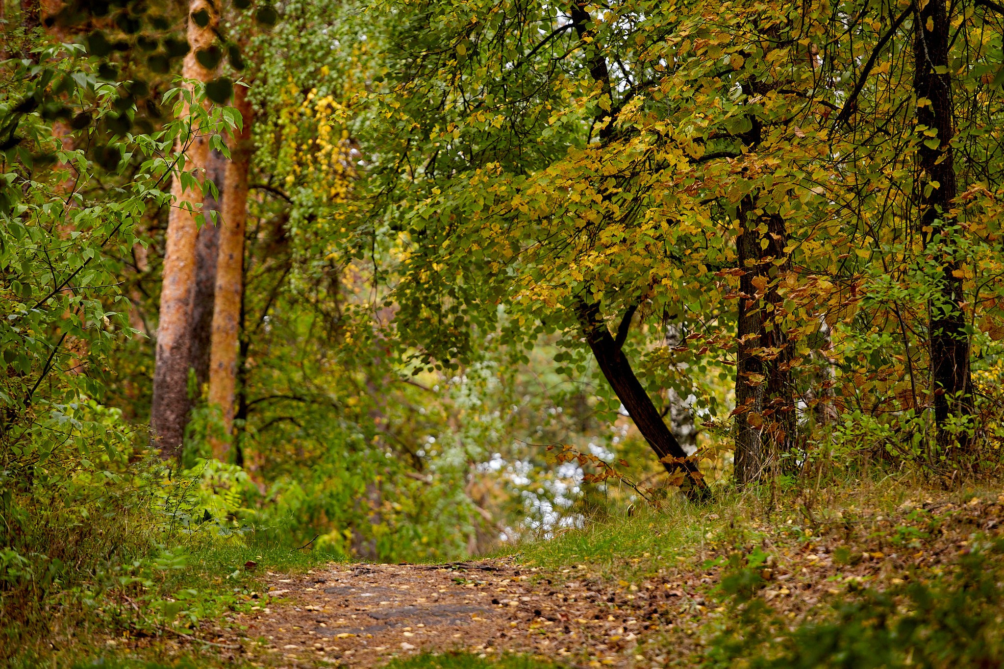 Фотографии природы