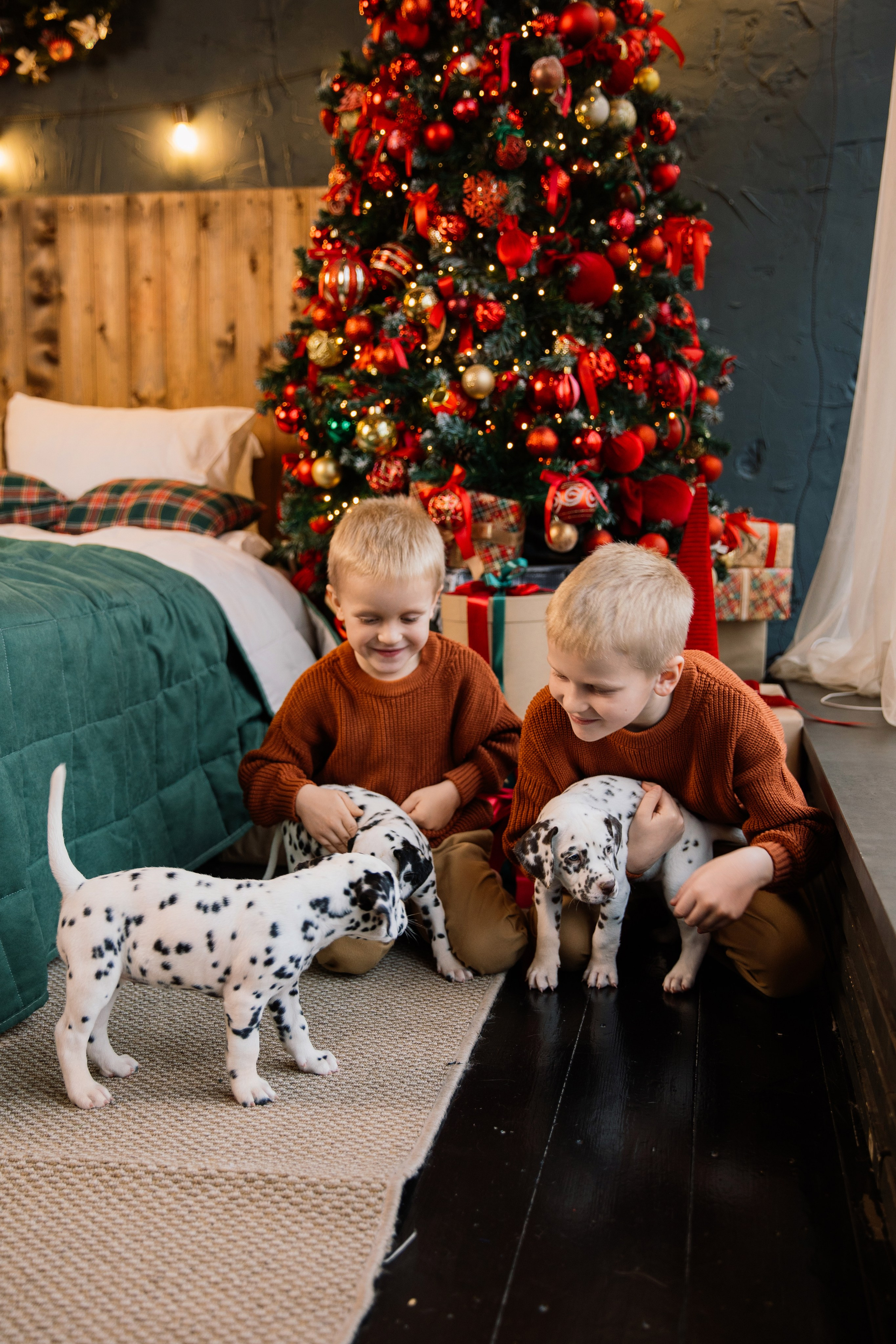 Саша и Рома. Семейный фотограф Толстикова Кристина