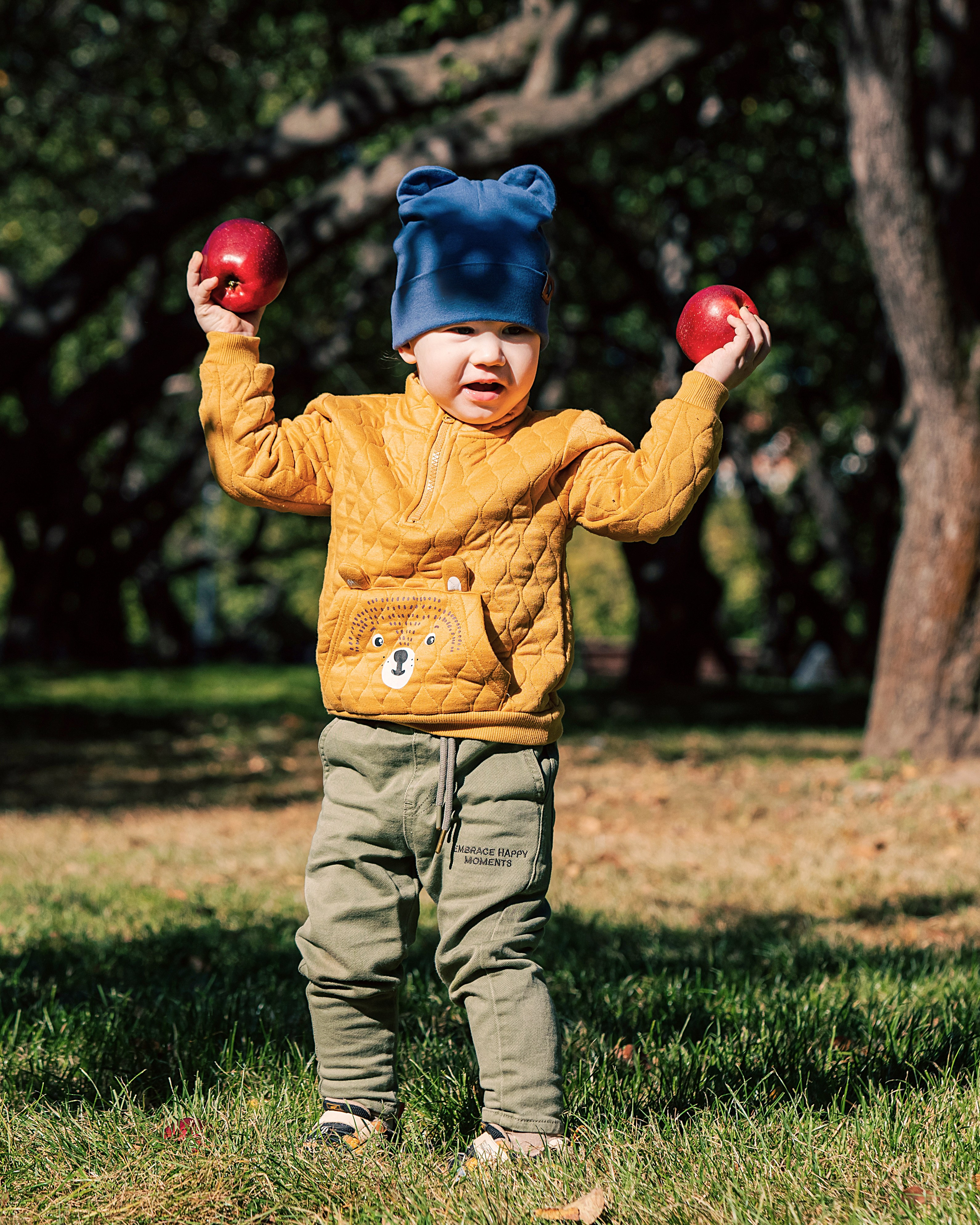 ФОТОПАМЯТЬ ВАШИХ ЭМОЦИЙ. Фотограф-анималист, семейный фотограф в Москве и Подмосковье. Фотосъёмка кинологических дисциплин