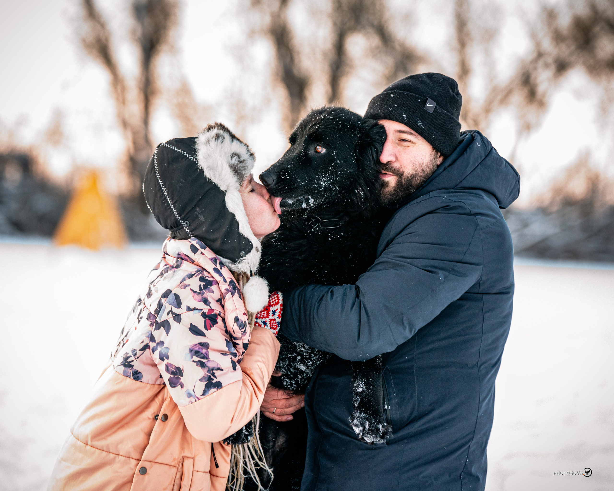 ФОТОПАМЯТЬ ВАШИХ ЭМОЦИЙ. Фотограф-анималист, семейный фотограф в Москве и Подмосковье. Фотосъёмка кинологических дисциплин