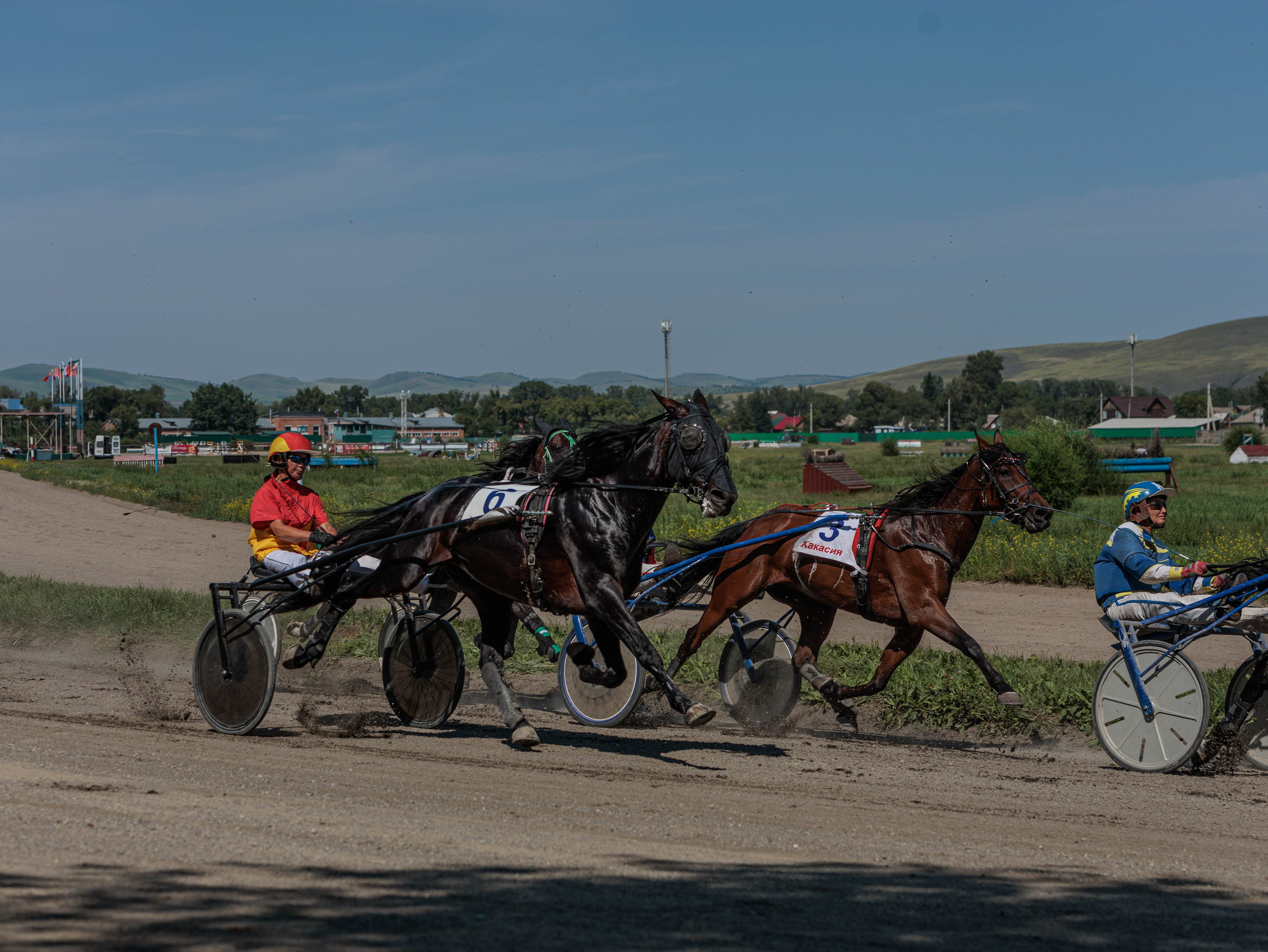 Зарисовки Абаканский ипподром 2025. Конный фотограф в Красноярске — Любовь Похабова