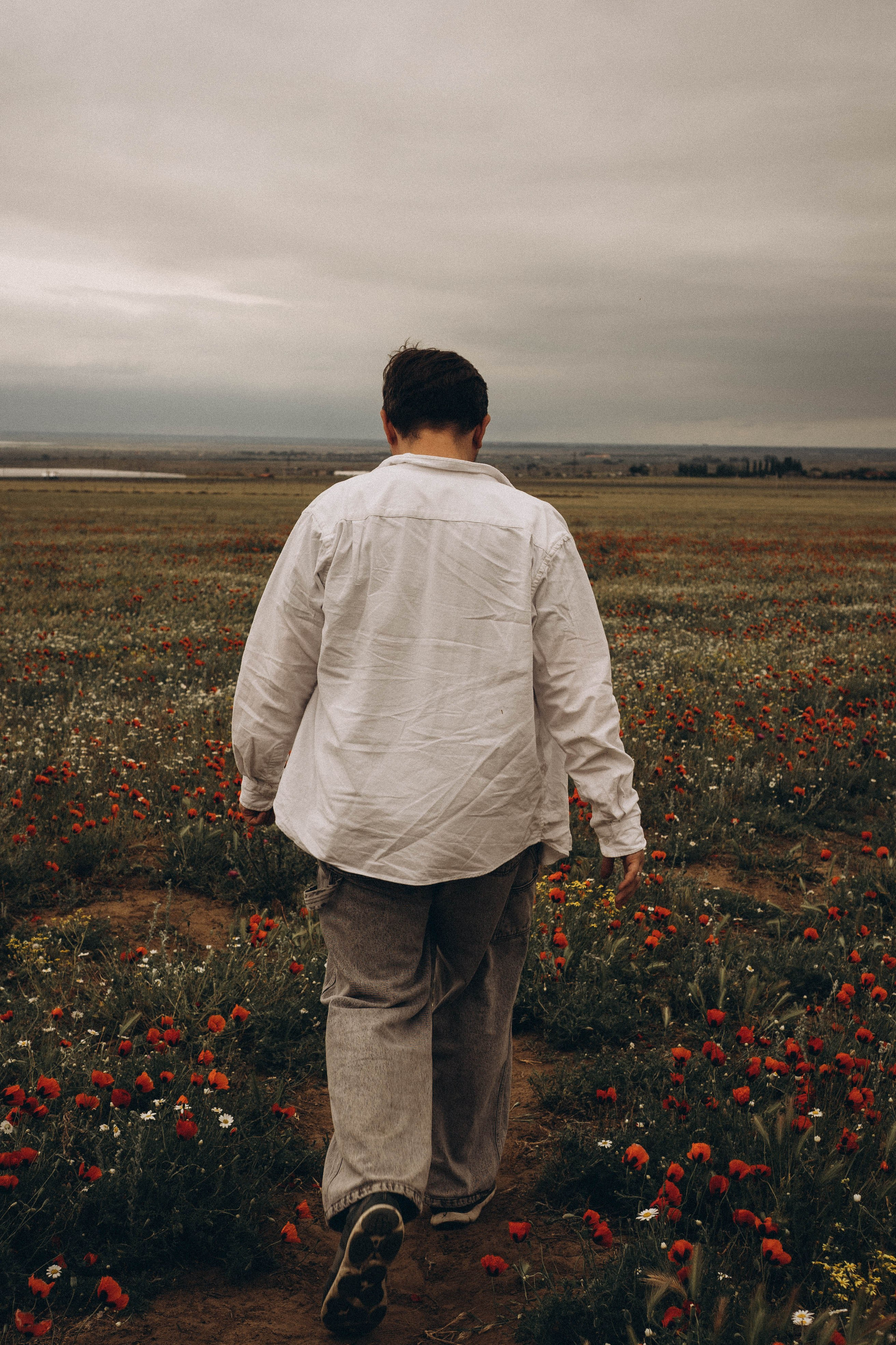 Маки. Профессиональный фотограф, Санкт-Петербург — Виктория Богомолова