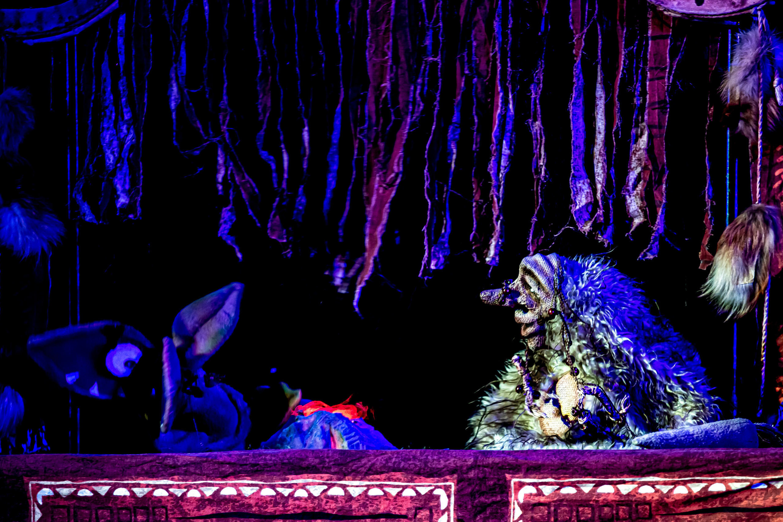 Легенды о Сочи Саквояж. Фотограф в Сочи Юрий Шептаев