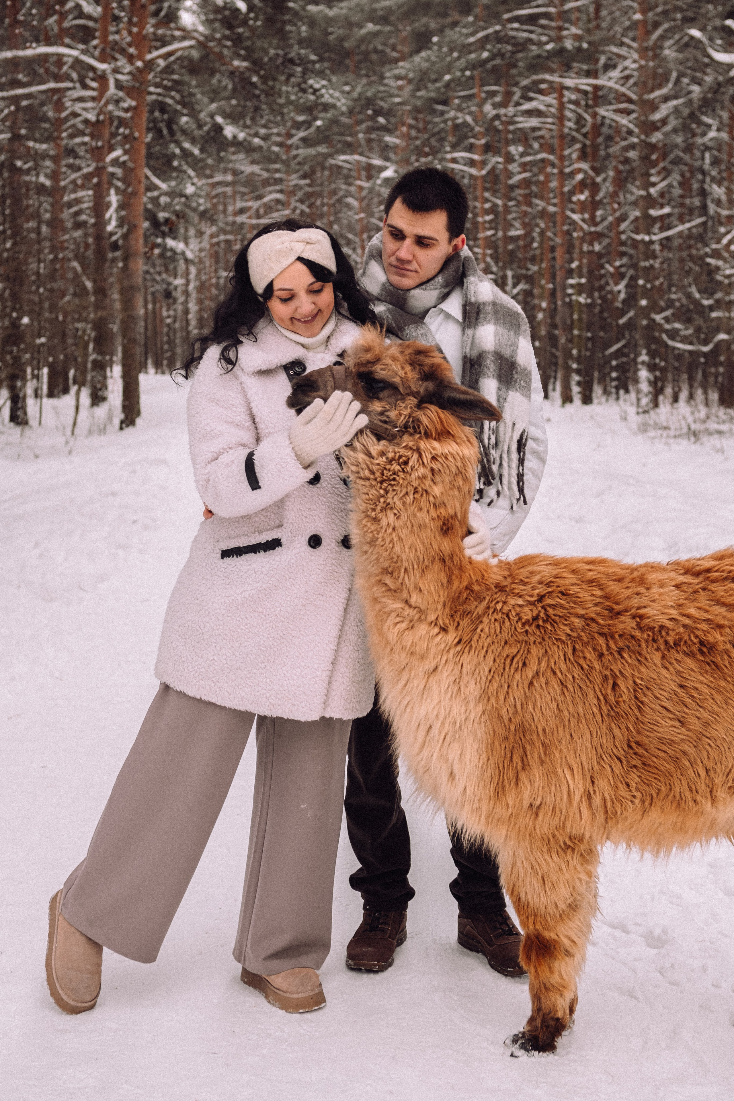 С Альпакой. Фотограф в Санкт-Петербурге Кристина Брянская