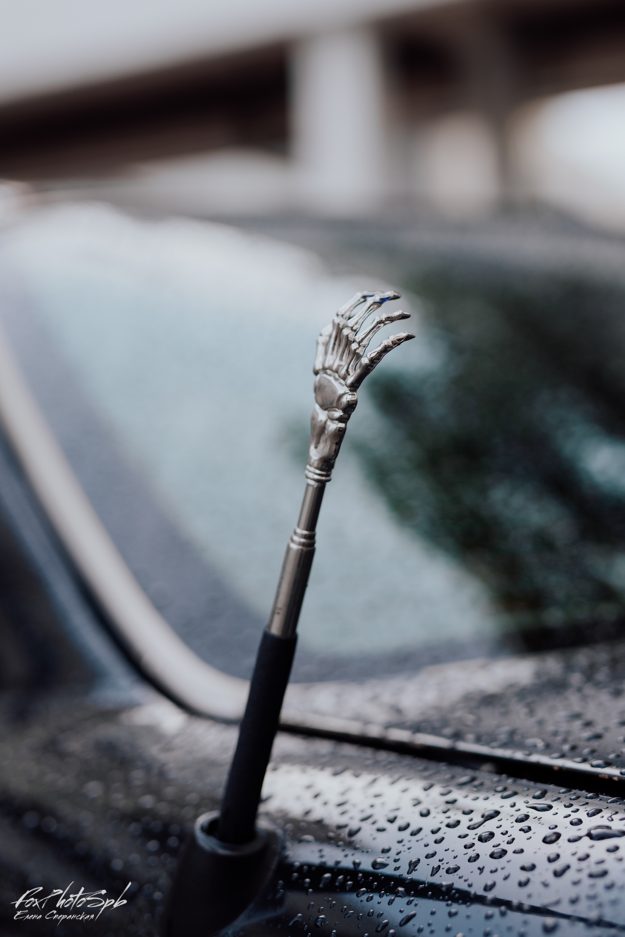 Tuning Art Museum Севкабель Порт. Фотограф в Санкт-Петербурге и Ленинградской области