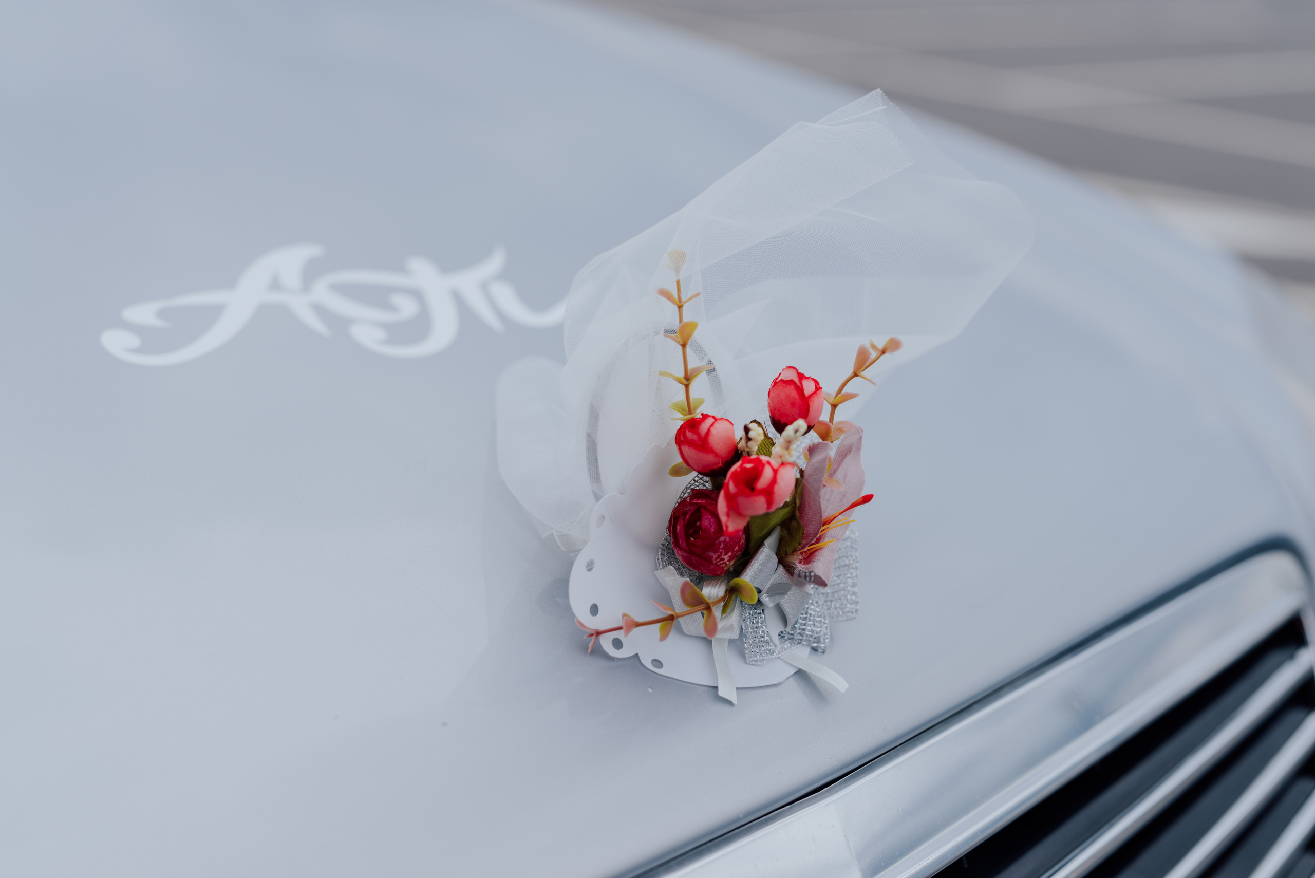 Тина и Алекс. Фотограф в Санкт-Петербурге и Ленинградской области