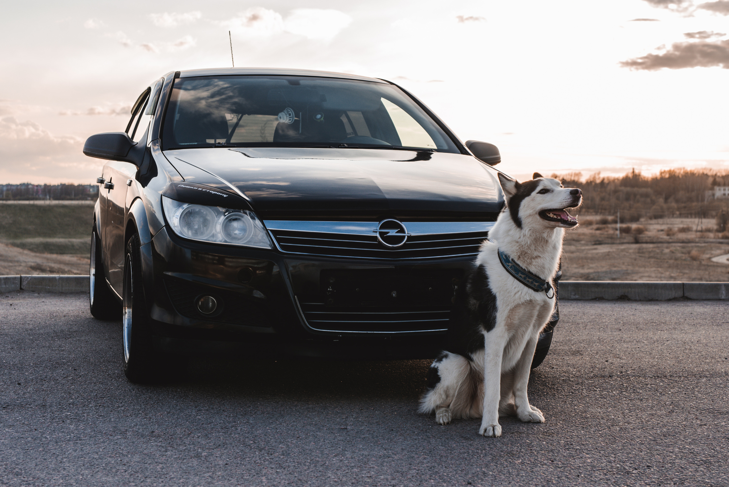 Opel. Фотограф в Санкт-Петербурге и Ленинградской области