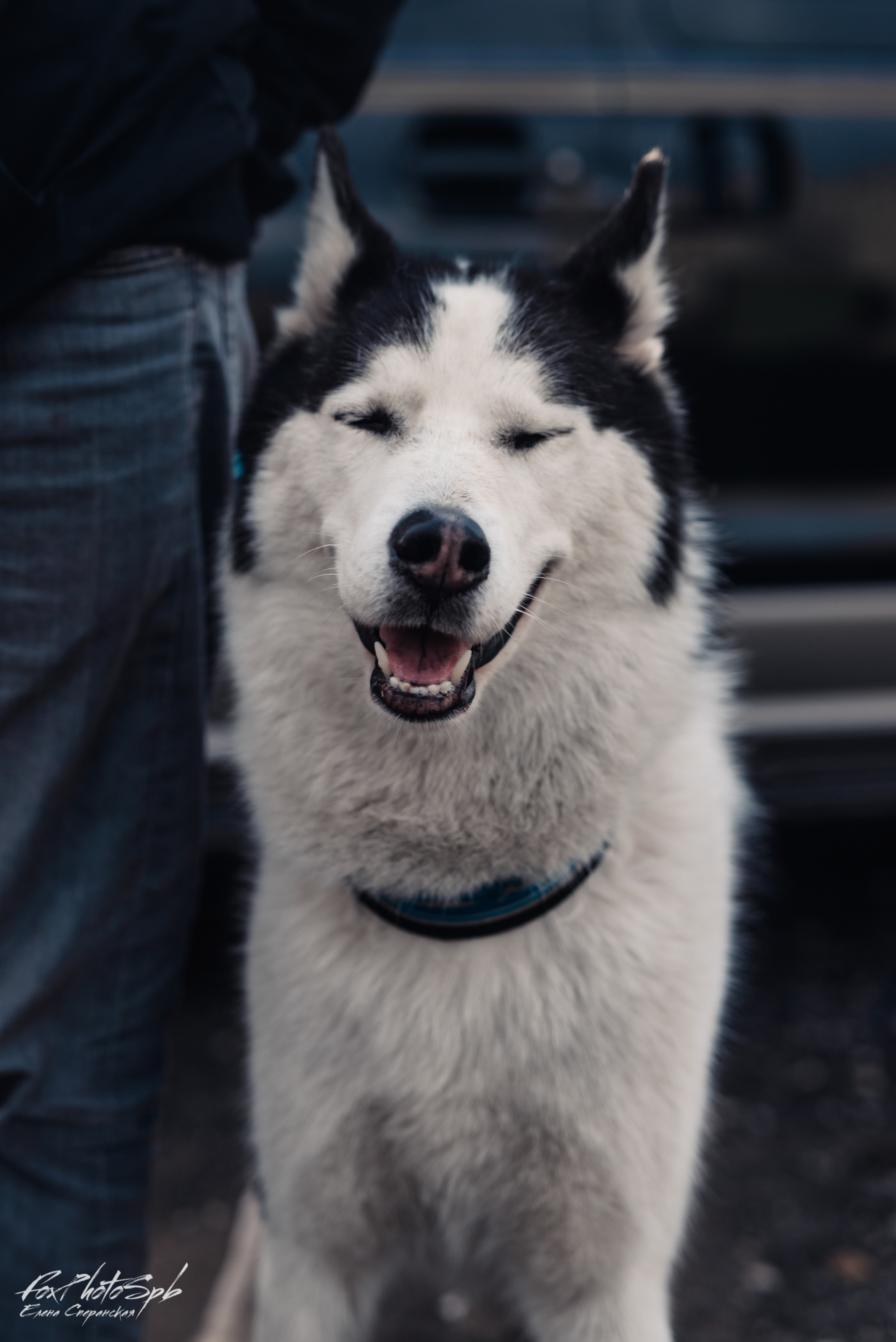 SELAR subaru. Фотограф в Санкт-Петербурге и Ленинградской области