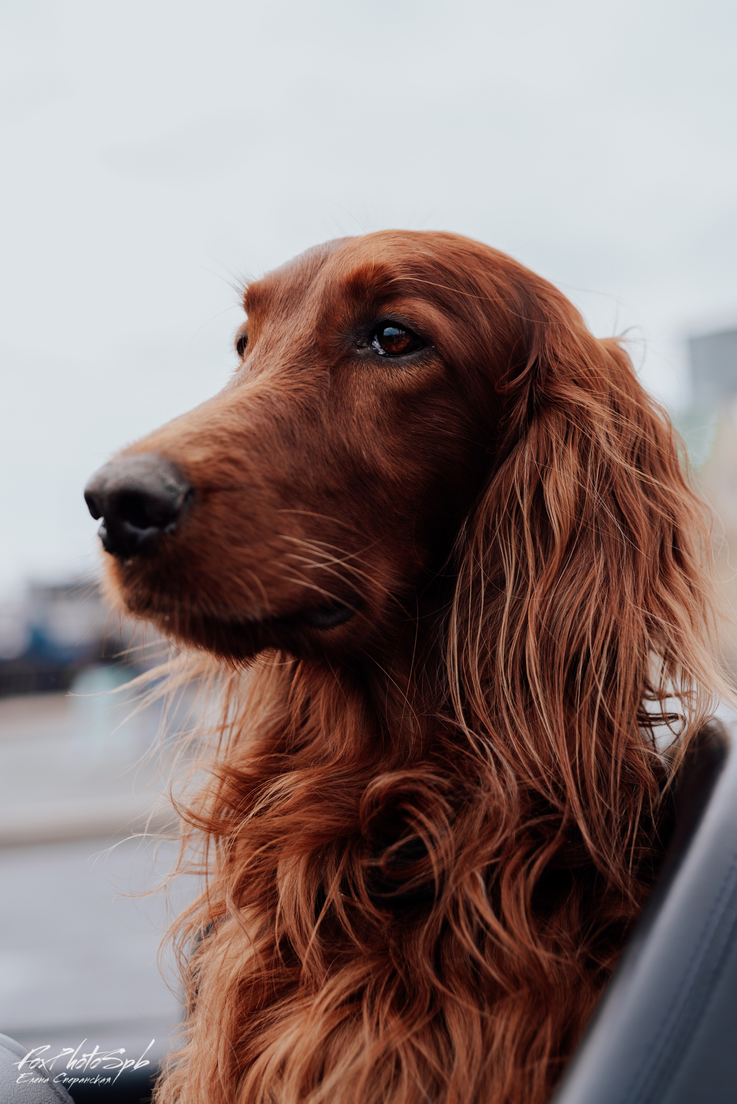 Открытие кабрио сезона 2022. Фотограф в Санкт-Петербурге и Ленинградской области