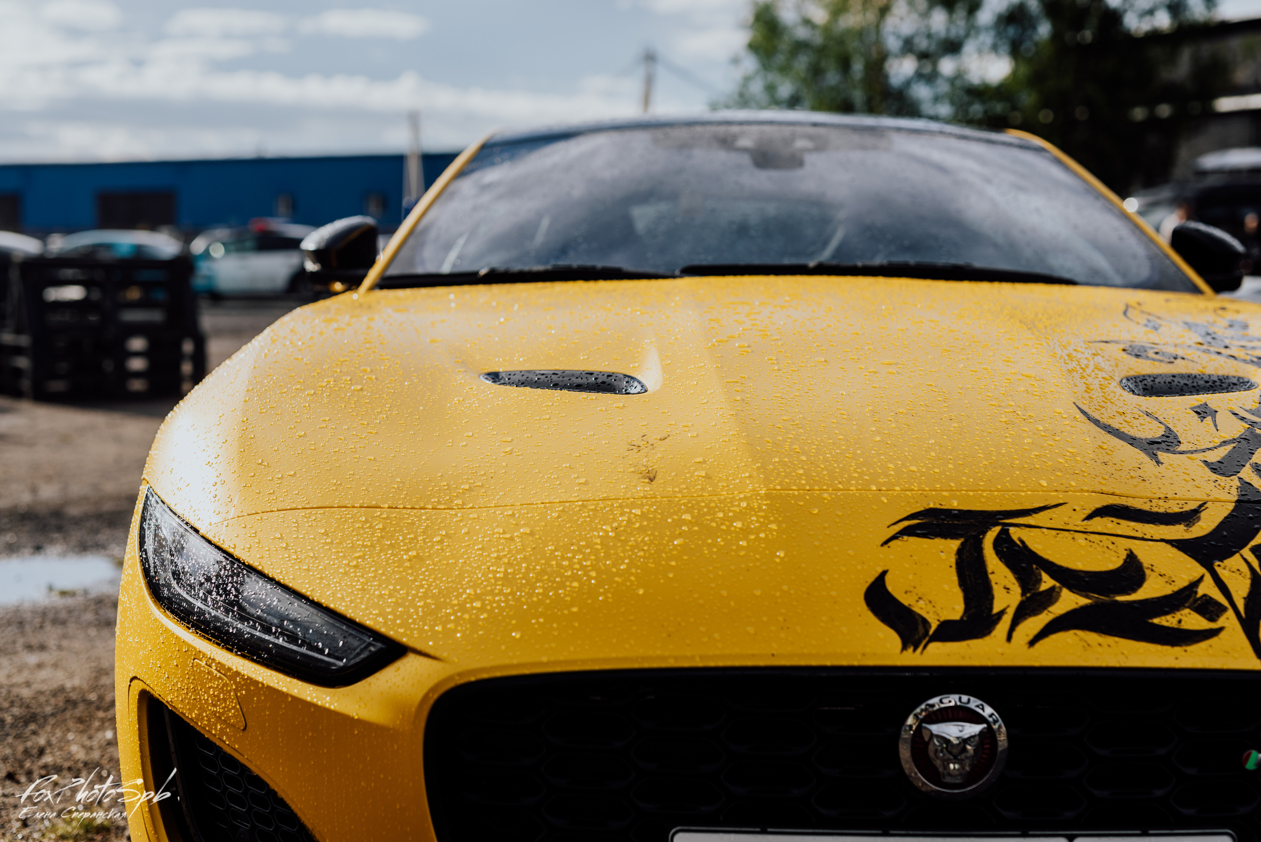 SELAR subaru. Фотограф в Санкт-Петербурге и Ленинградской области