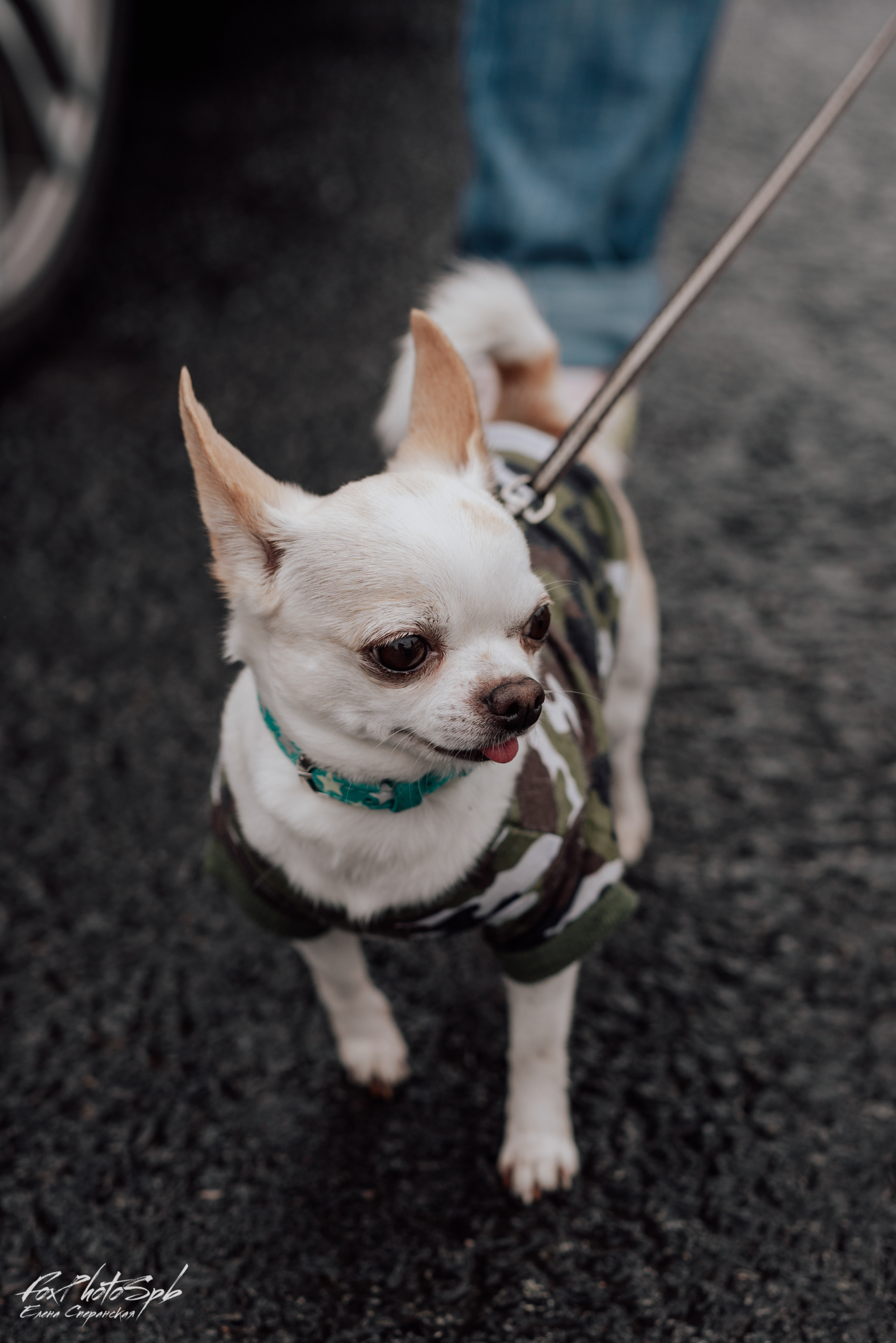 Открытие кабрио сезона 2022. Фотограф в Санкт-Петербурге и Ленинградской области