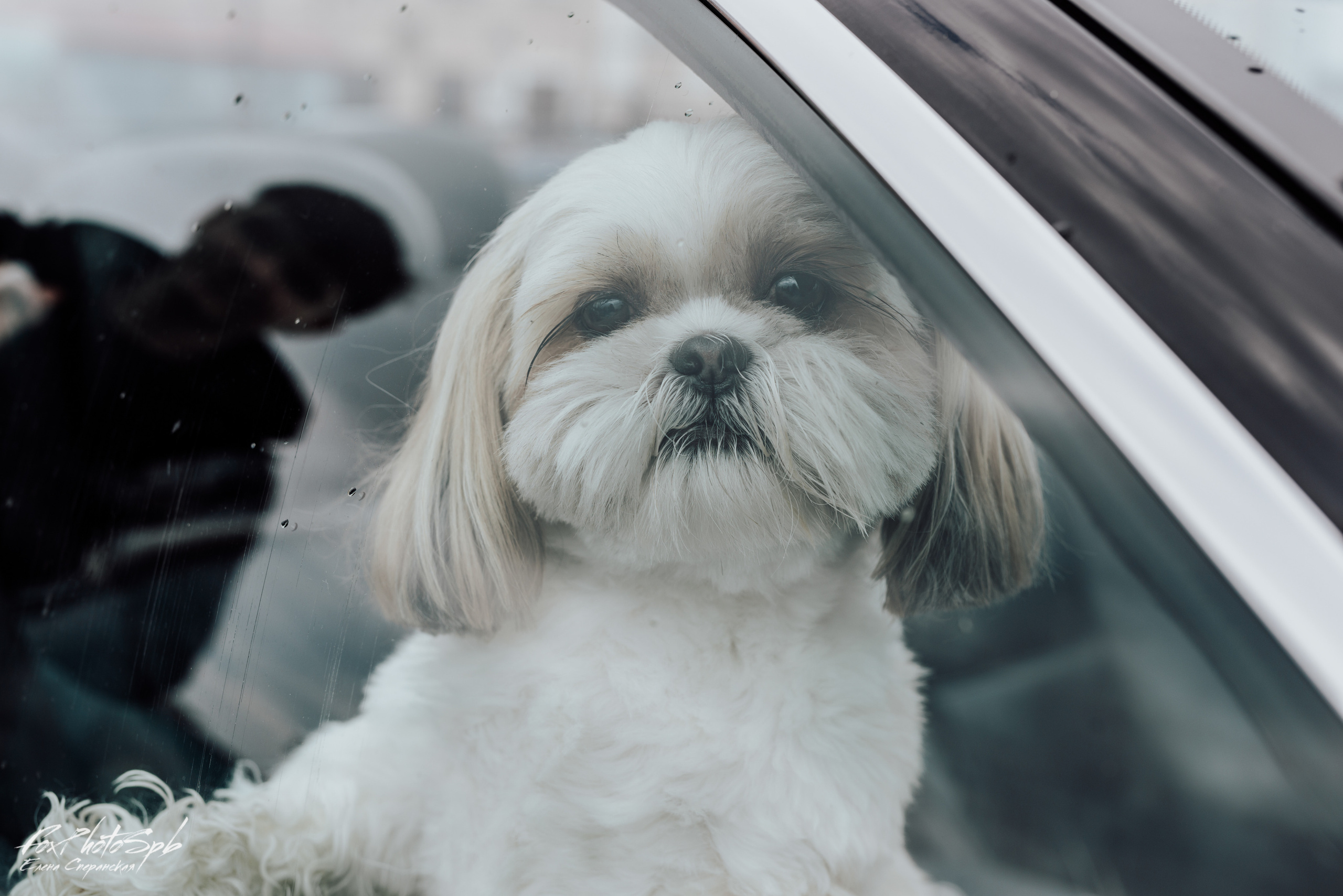 Открытие кабрио сезона 2022. Фотограф в Санкт-Петербурге и Ленинградской области