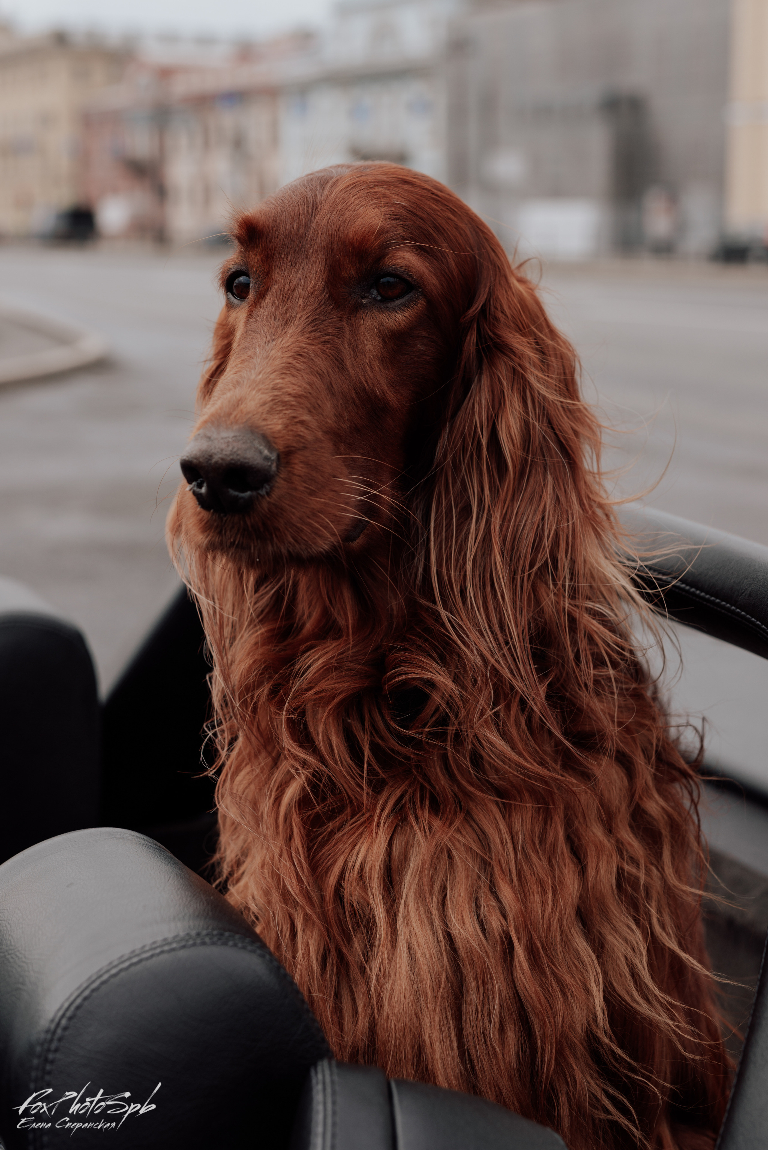 Открытие кабрио сезона 2022. Фотограф в Санкт-Петербурге и Ленинградской области