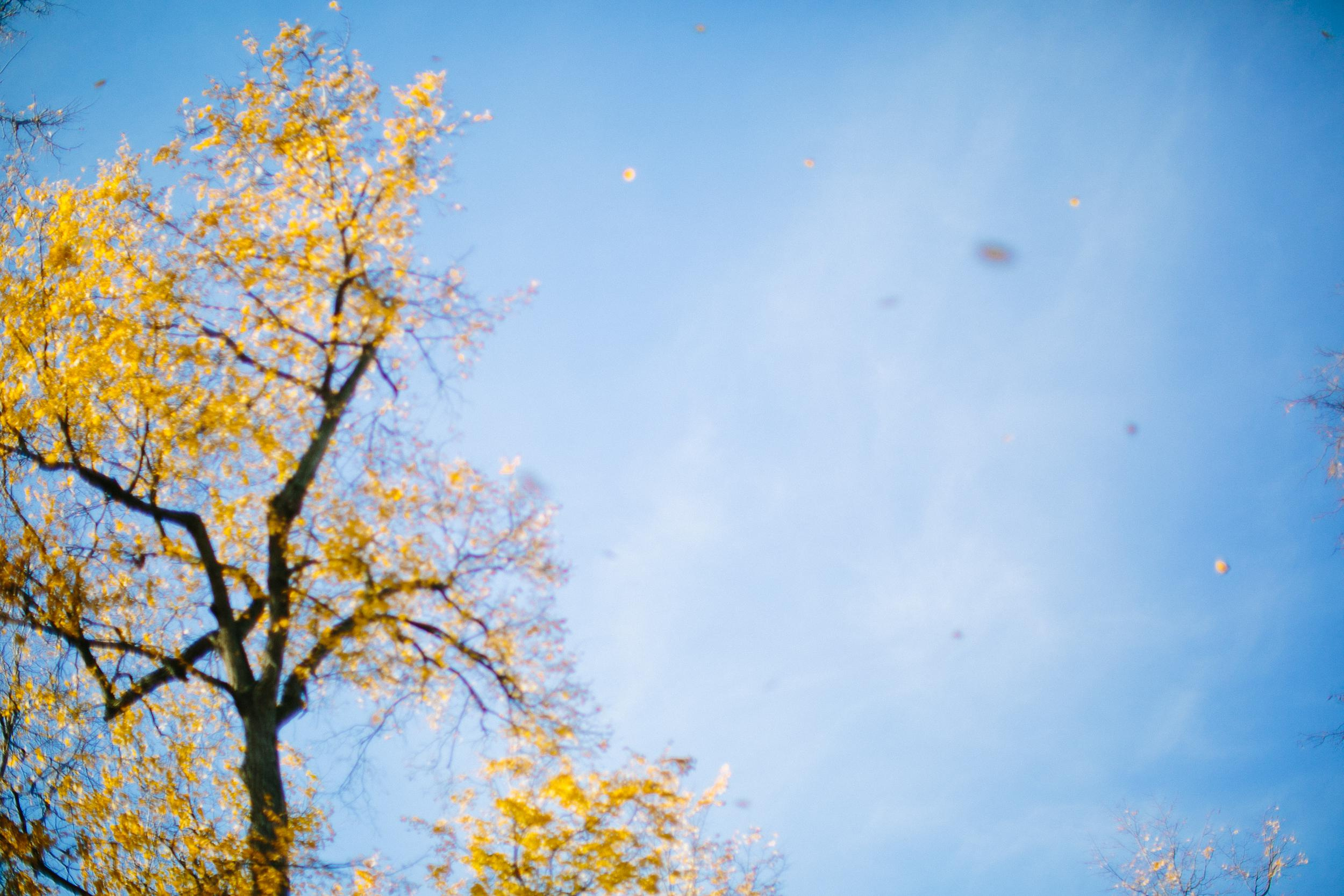 Алена и семья. Семейный фотограф Евгения Сурина