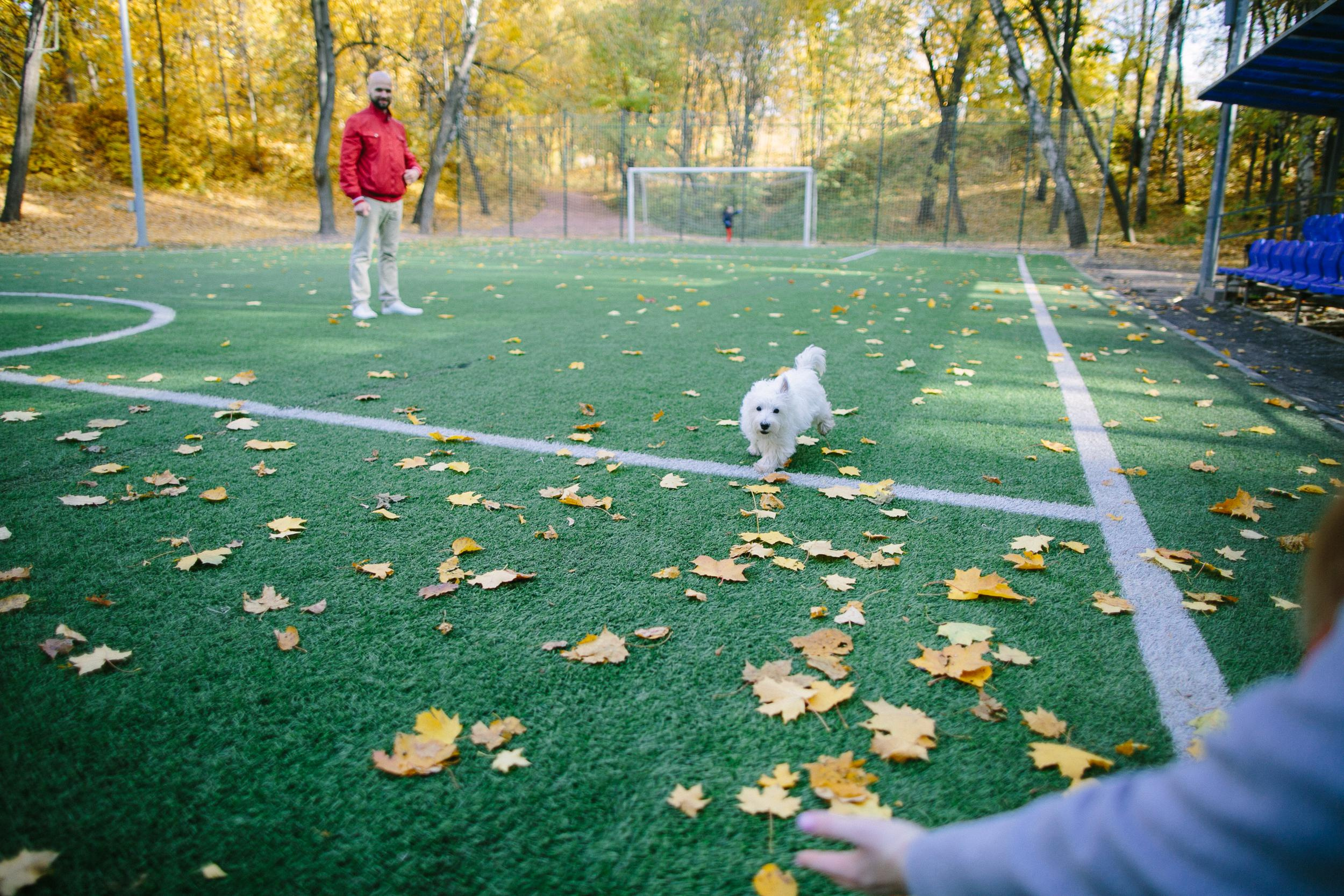 Алена и семья. Семейный фотограф Евгения Сурина