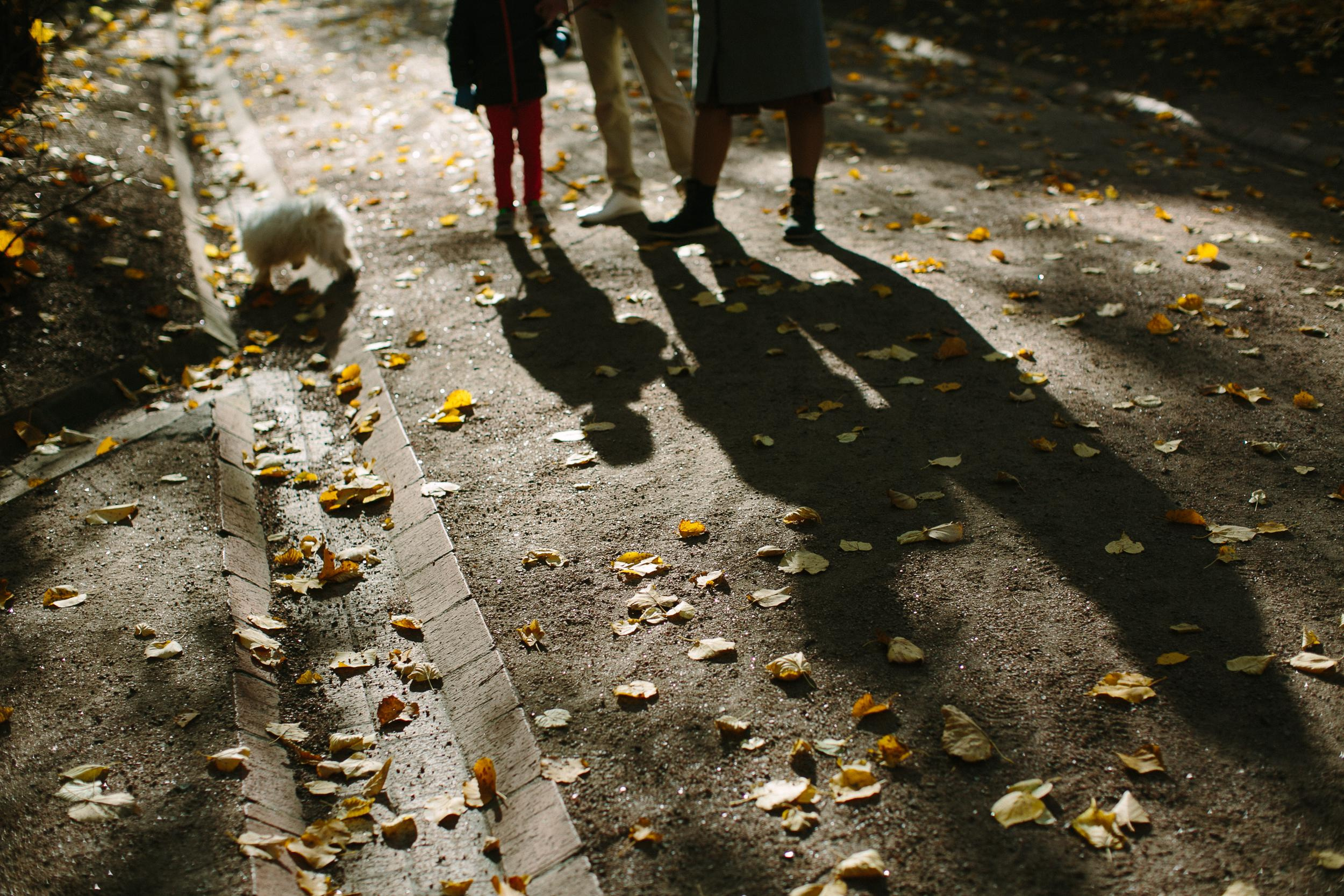 Алена и семья. Семейный фотограф Евгения Сурина
