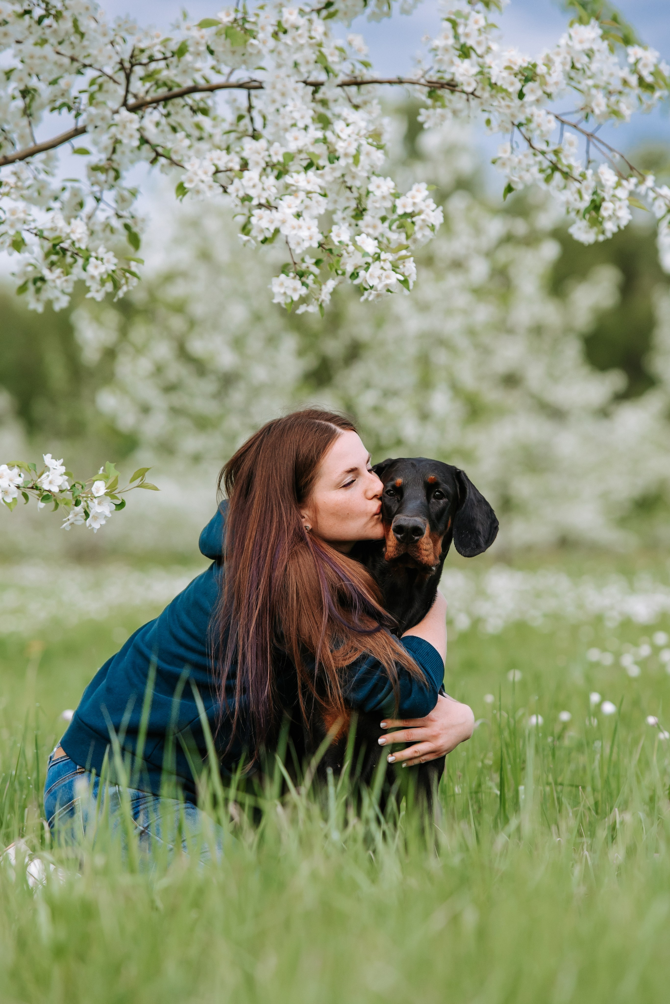Цветение с доберманами. Фотограф Диана Оленина Красноярск / Братск