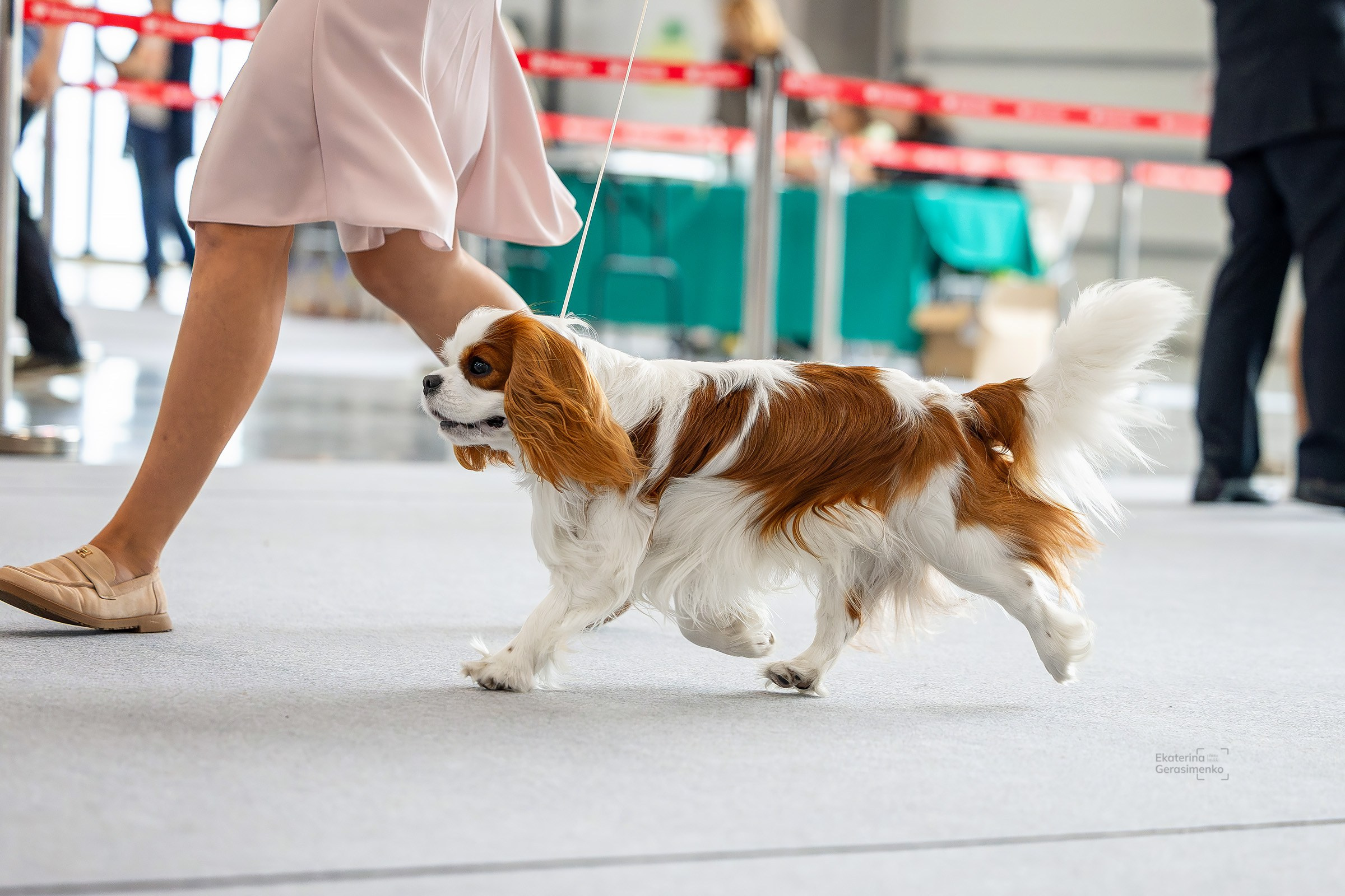 22 июня 2025, Выставка РКФ, г. Казань. Htykk_photo