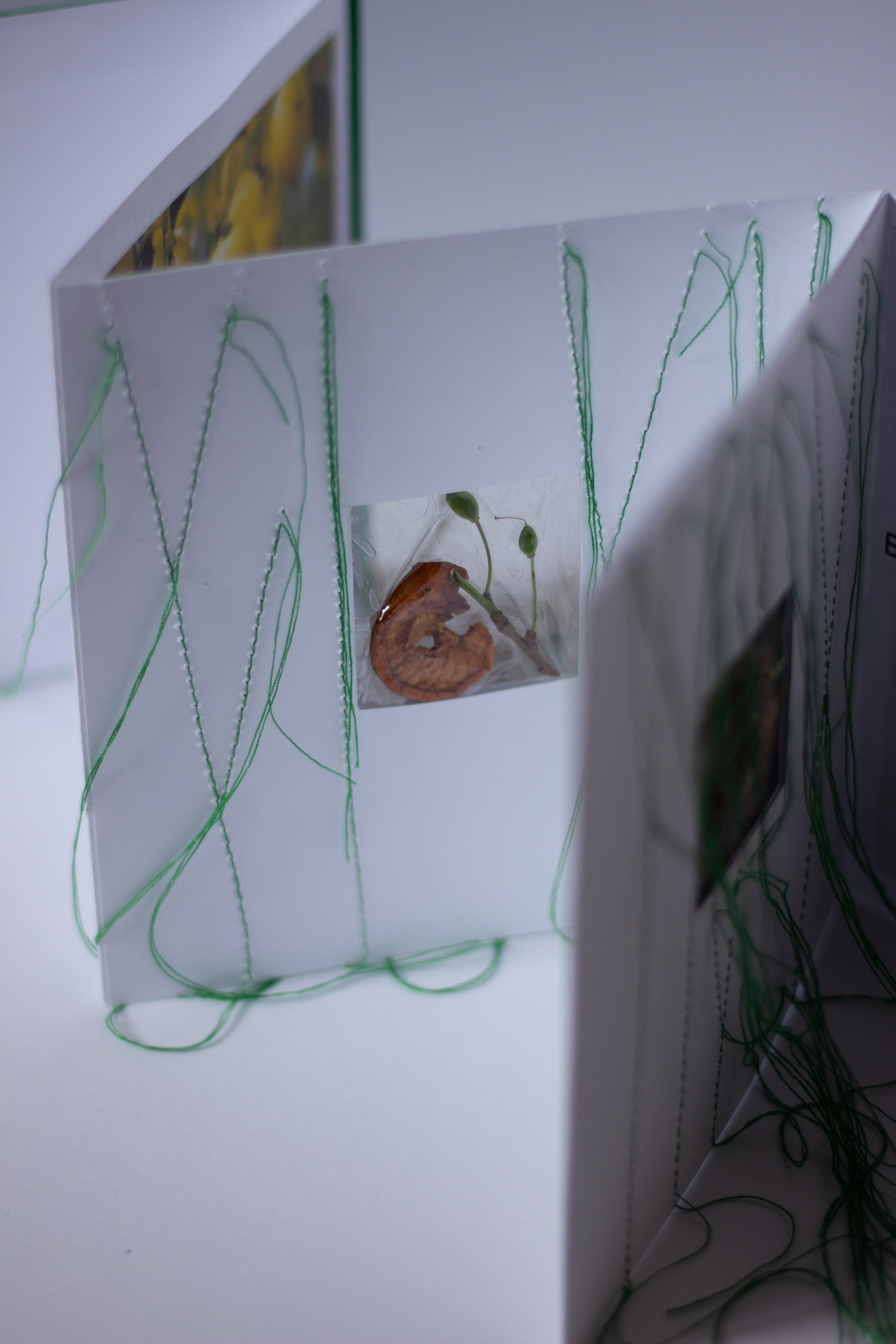 Плодовые (2024 — в процессе). Julia Gorbunova