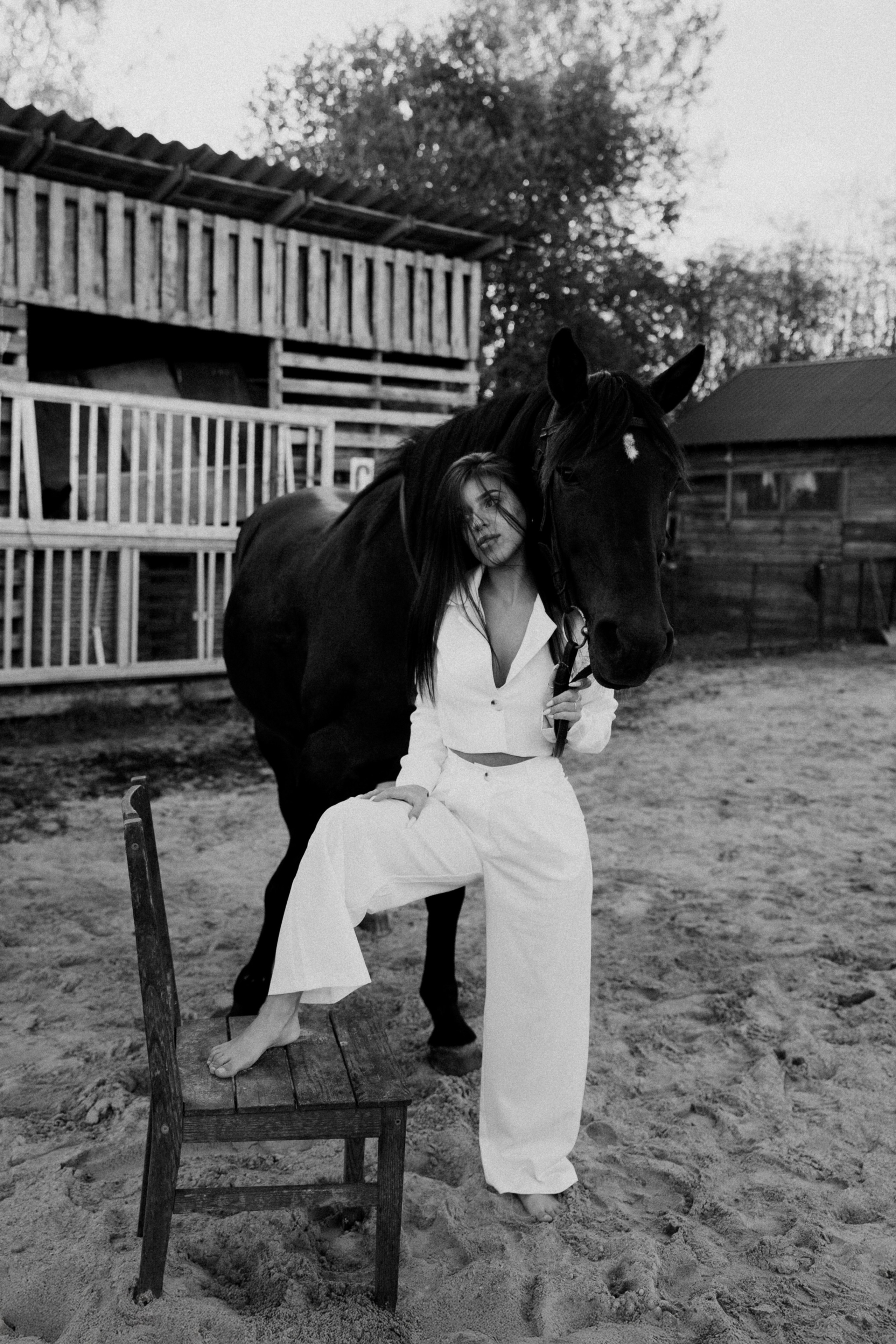 Конные. Главная