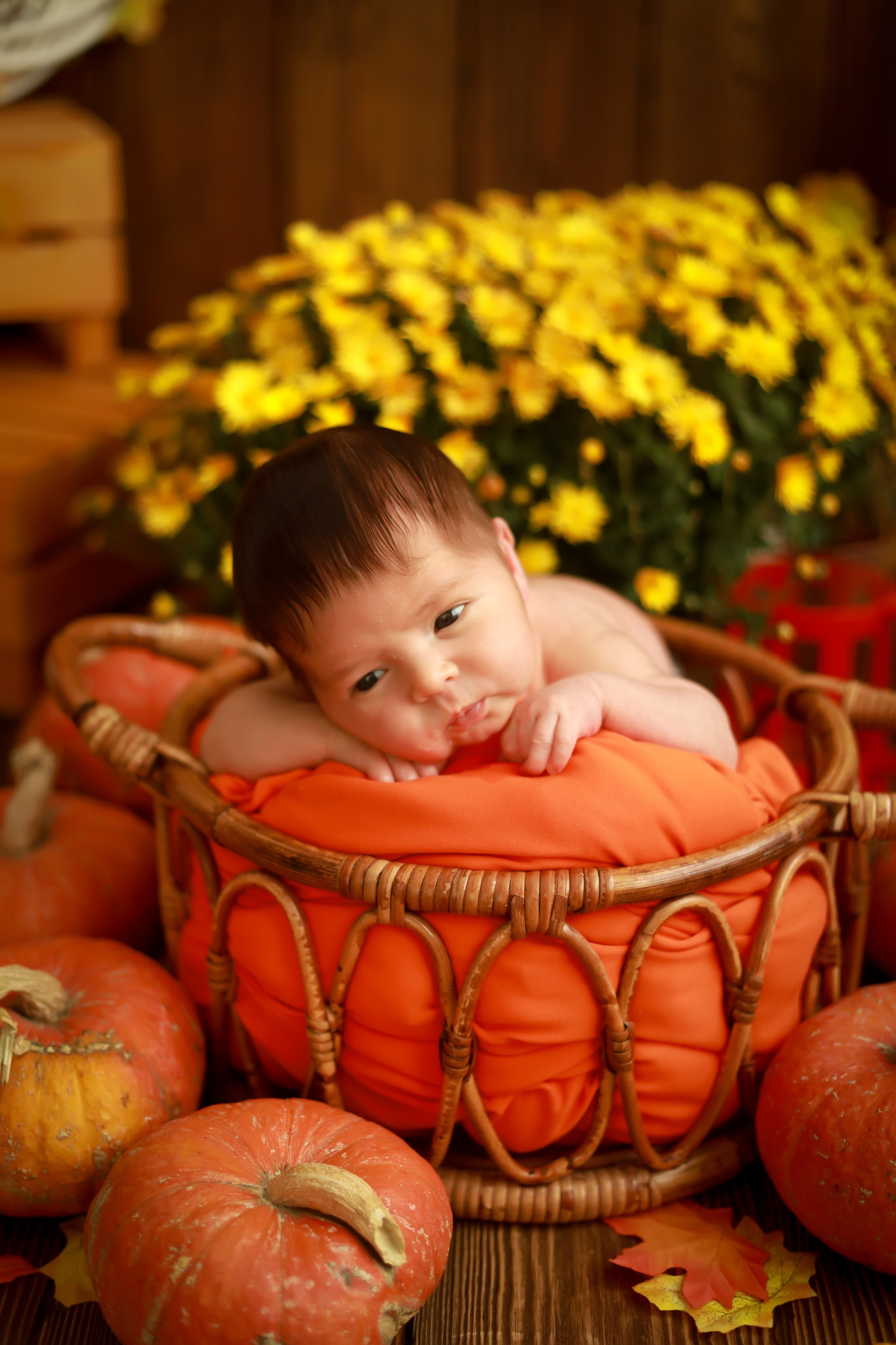 Ньюборн съёмка в студии. Семейный и Детский фотограф в Краснодаре Дарья Насаченко