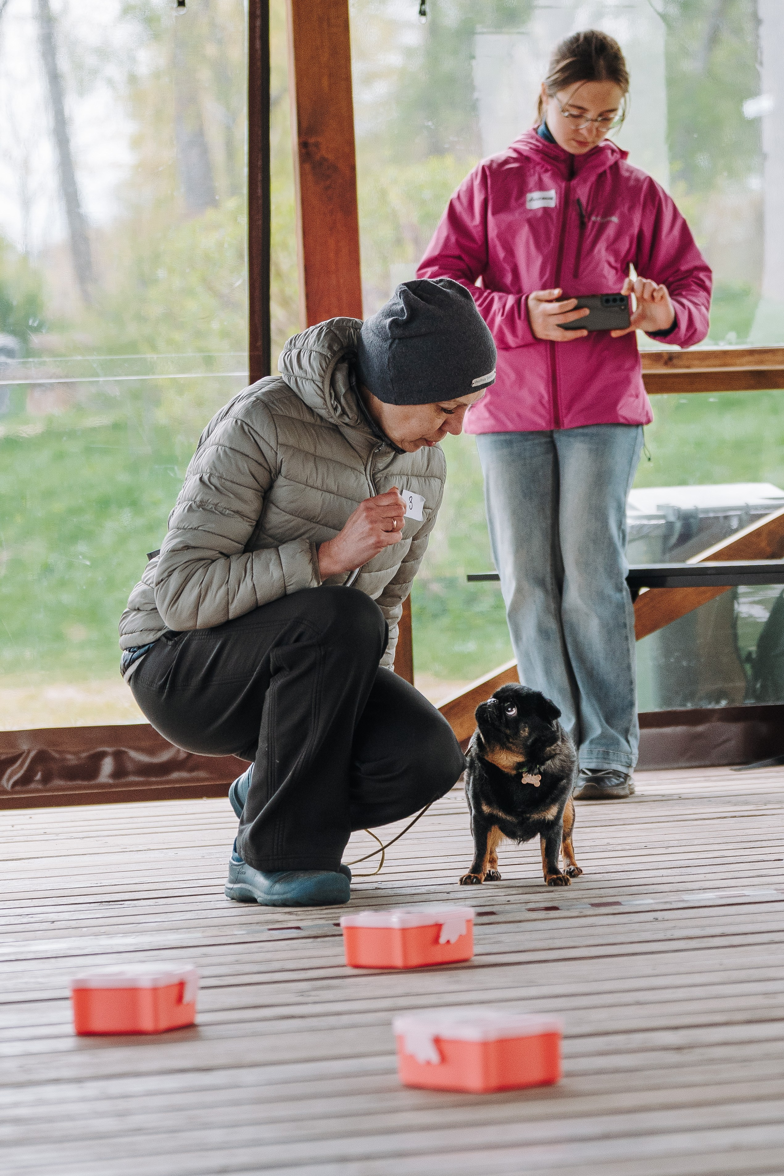 Соревнования по ноузворку в Лосево. Фотограф анималист в Спб недорого Олеся Майорова