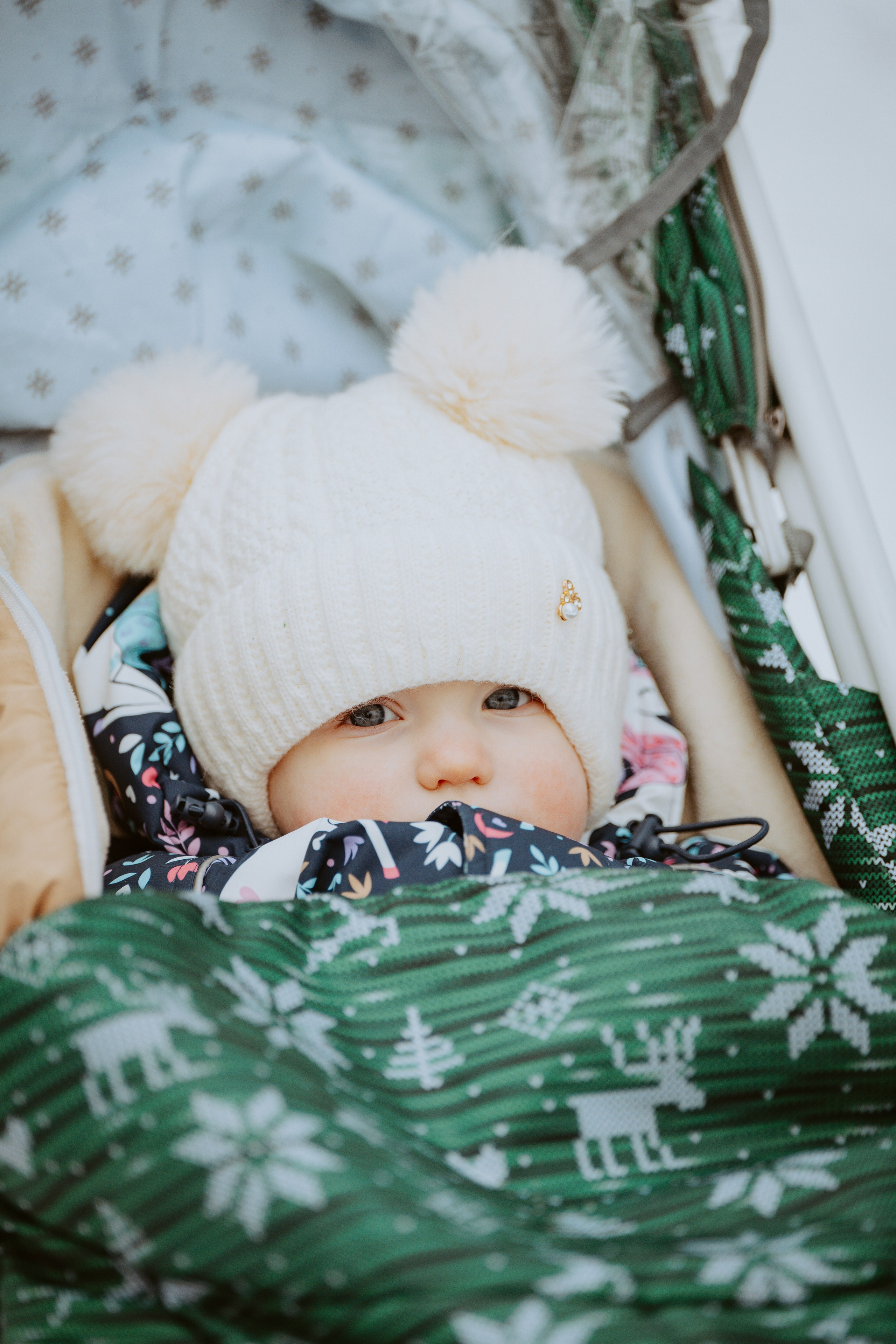 Дог трекинг. Фотограф анималист в Спб недорого Олеся Майорова