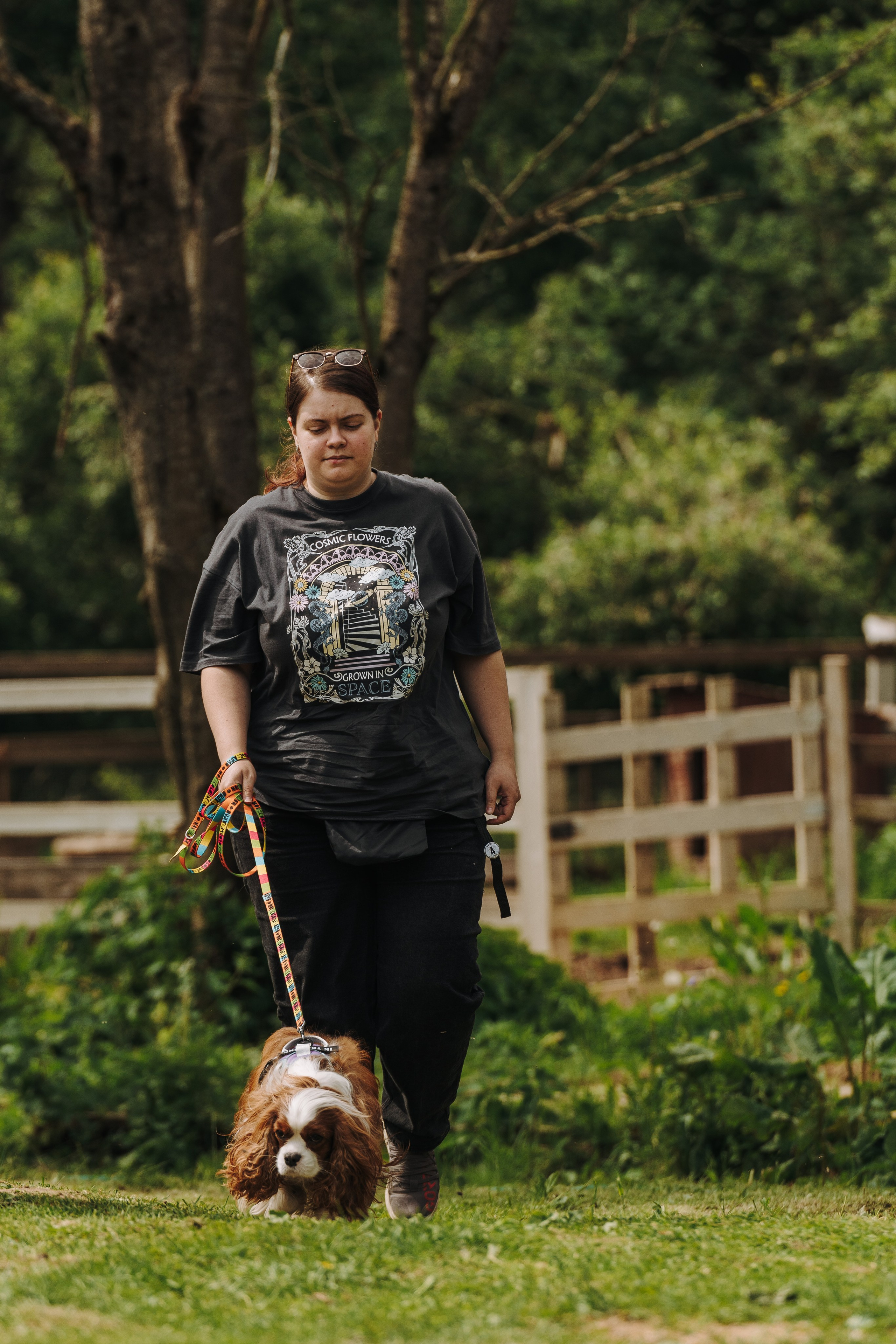 Соревнования по ноузворку. Фотограф анималист в Спб недорого Олеся Майорова