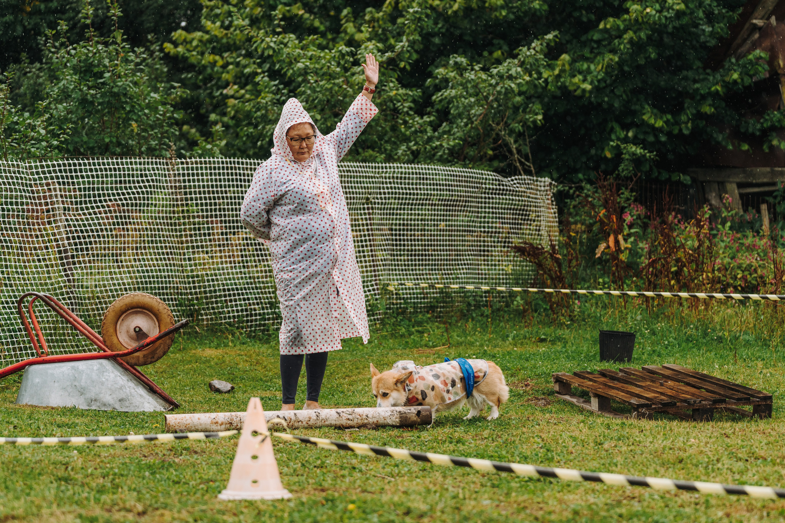 Соревнования по ноузворку в Новожилово. Фотограф анималист в Спб недорого Олеся Майорова