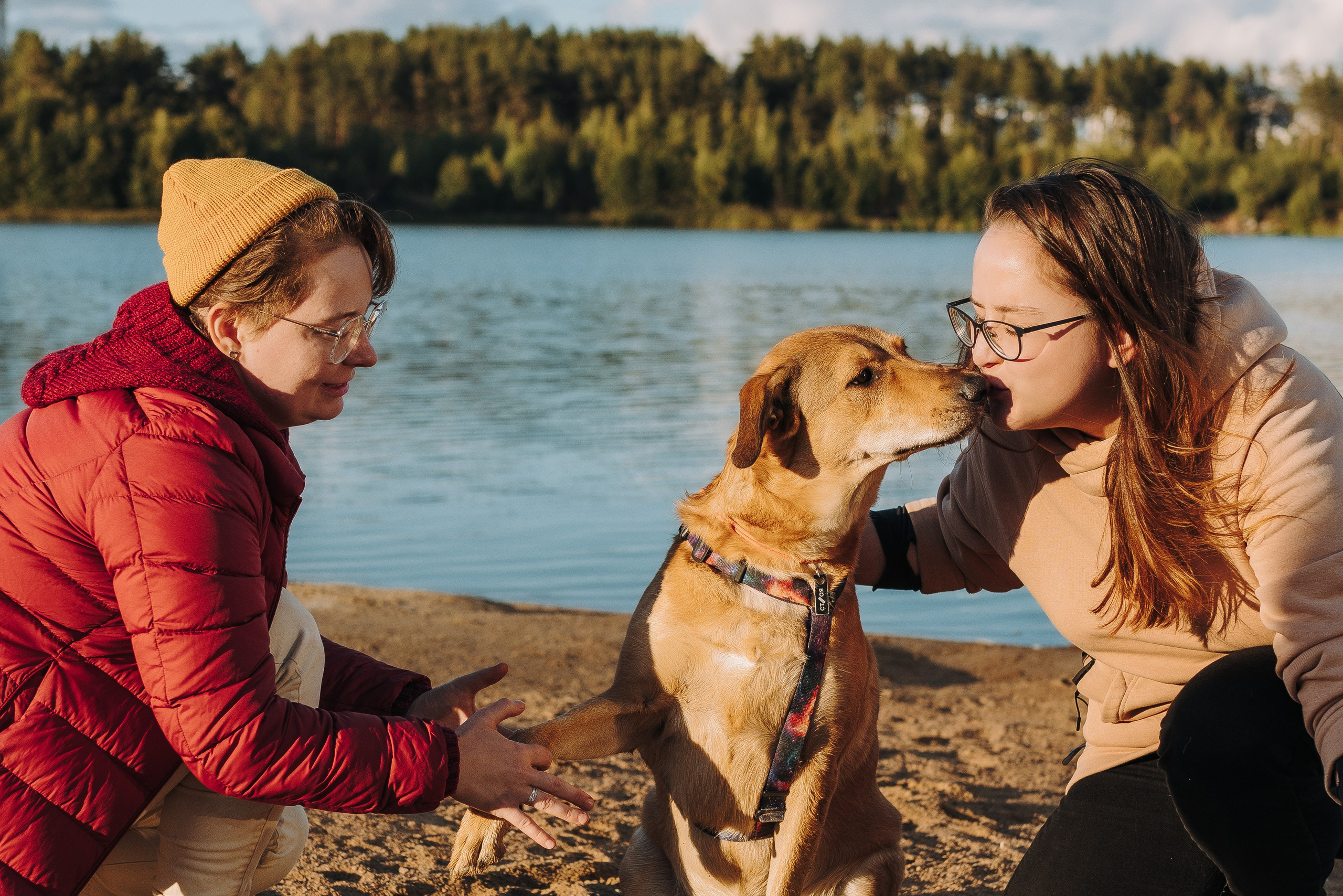 Семейная фотосессия с двумя собаками на закате. Фотограф анималист в Спб недорого Олеся Майорова
