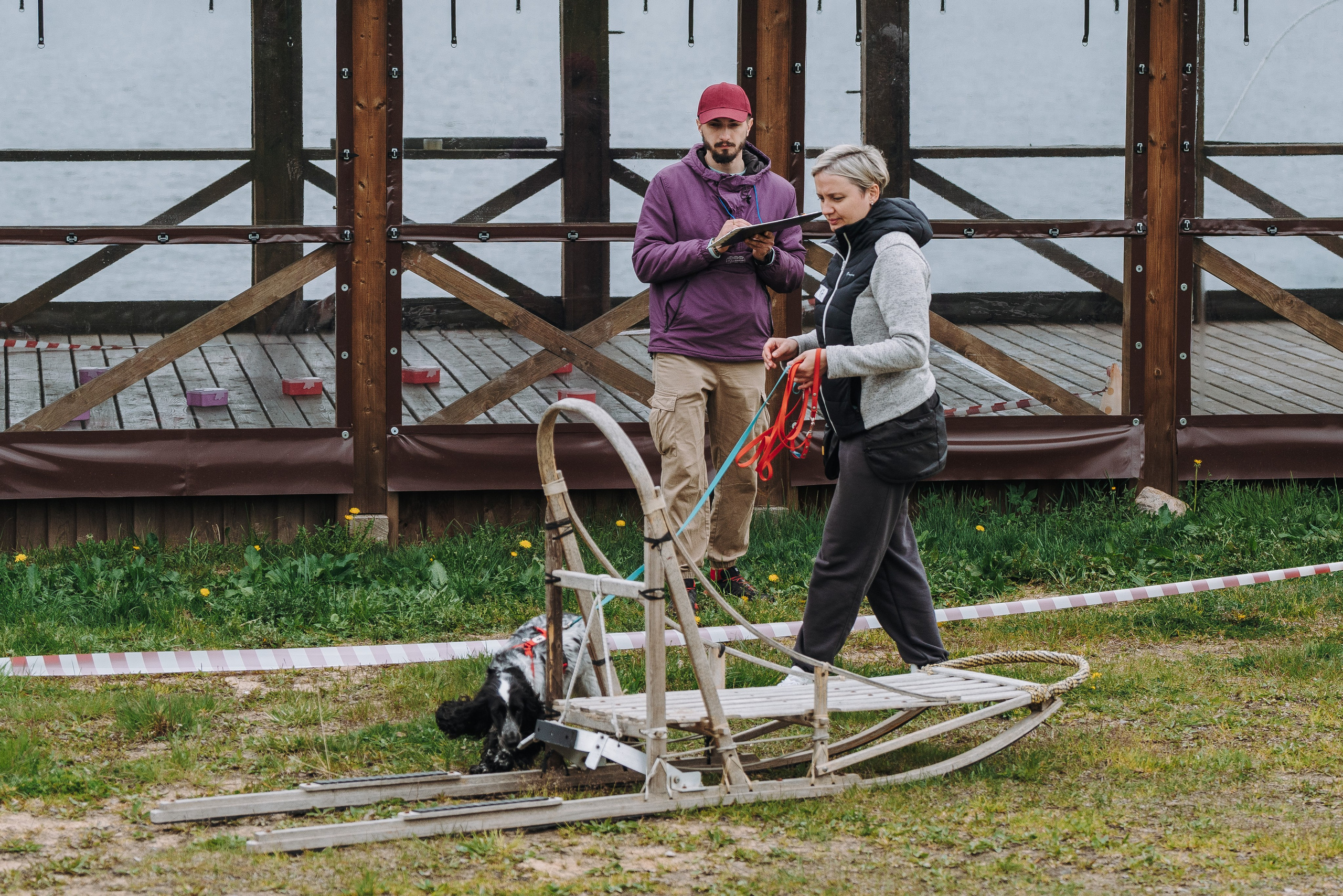 Соревнования по ноузворку в Лосево. Фотограф анималист в Спб недорого Олеся Майорова