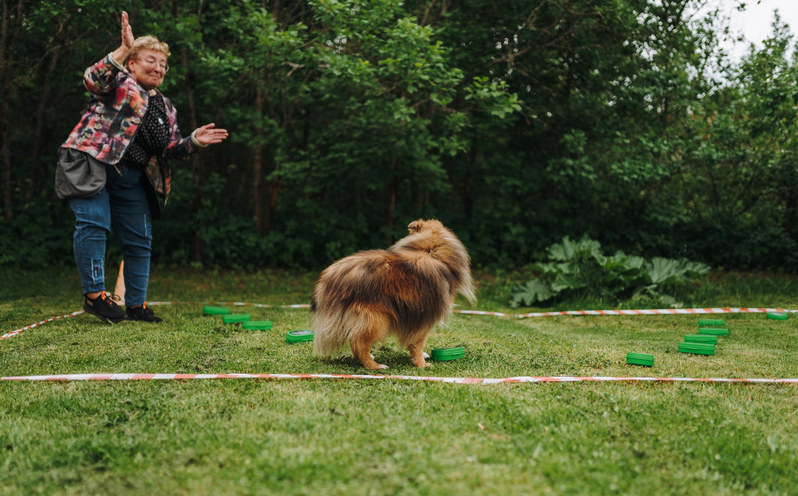 Соревнования по ноузворку. Фотограф анималист в Спб недорого Олеся Майорова