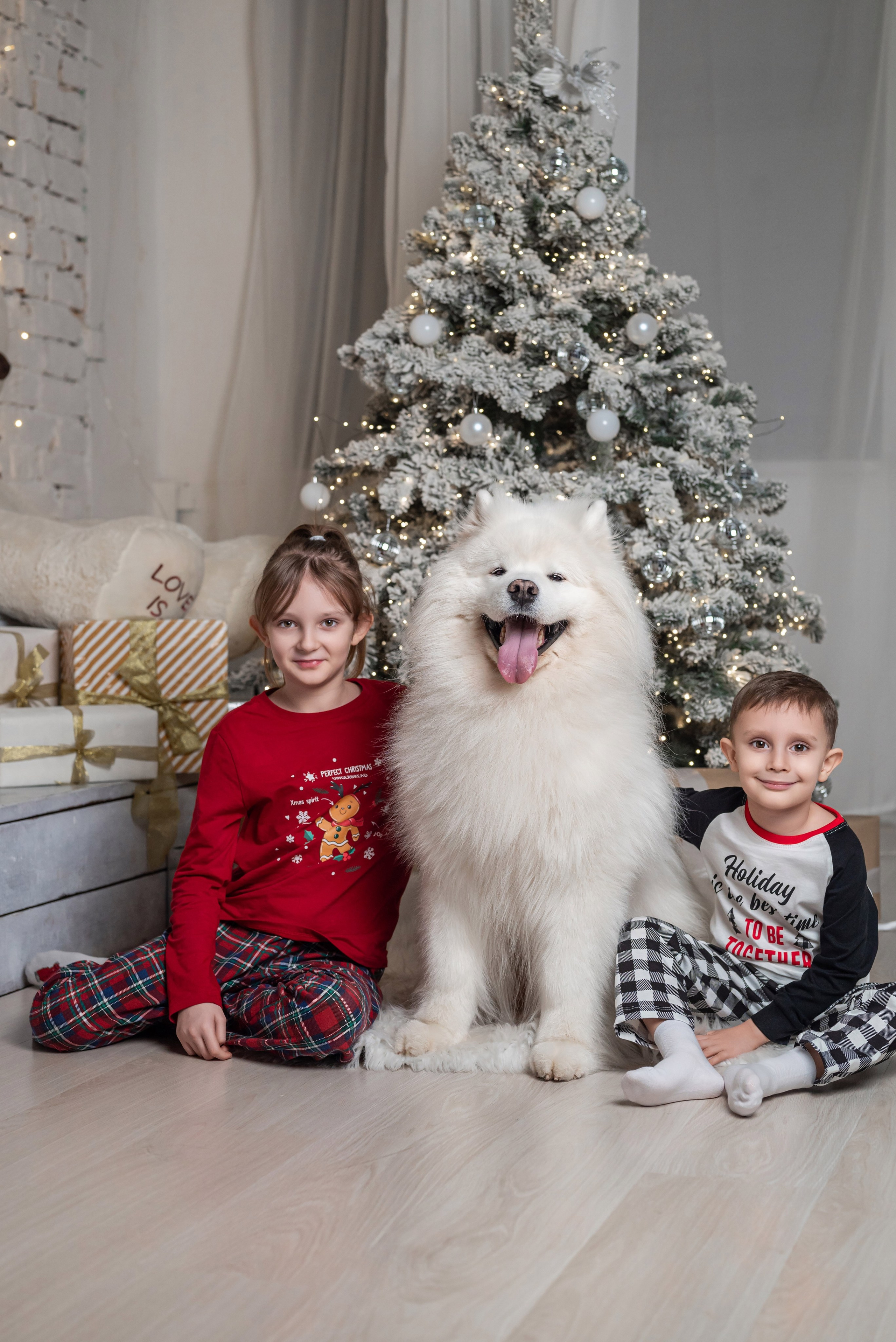 Фотопроект с самоедом 2023 г. Фотограф в городе Салават