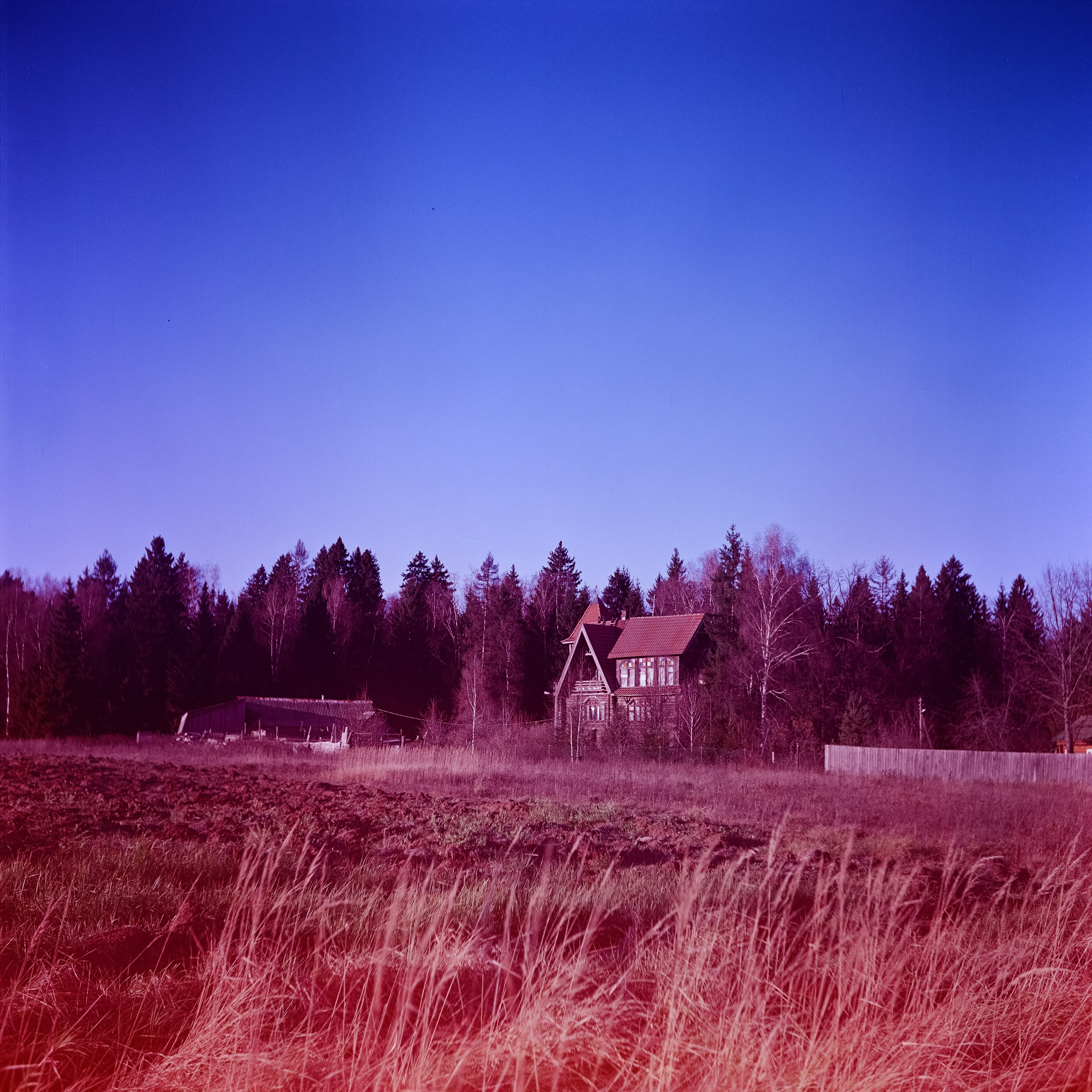 Yashica 635 / Aeronega 100 (Kodak Aerocolor IV) / ноябрь 2024 Лукино