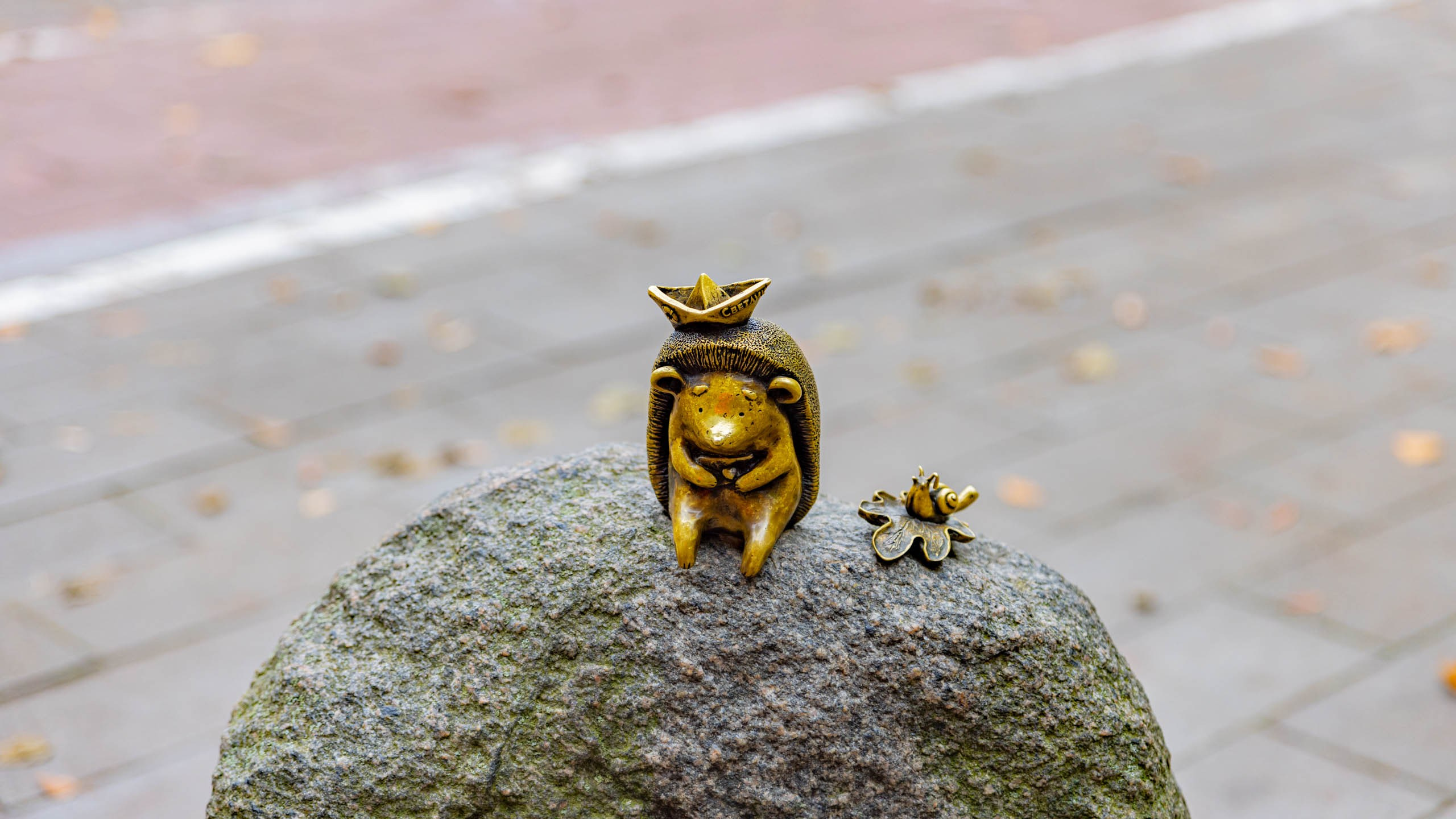 2024 10 Зеленоградск, Светлогорск, Куршская коса. Фотографии