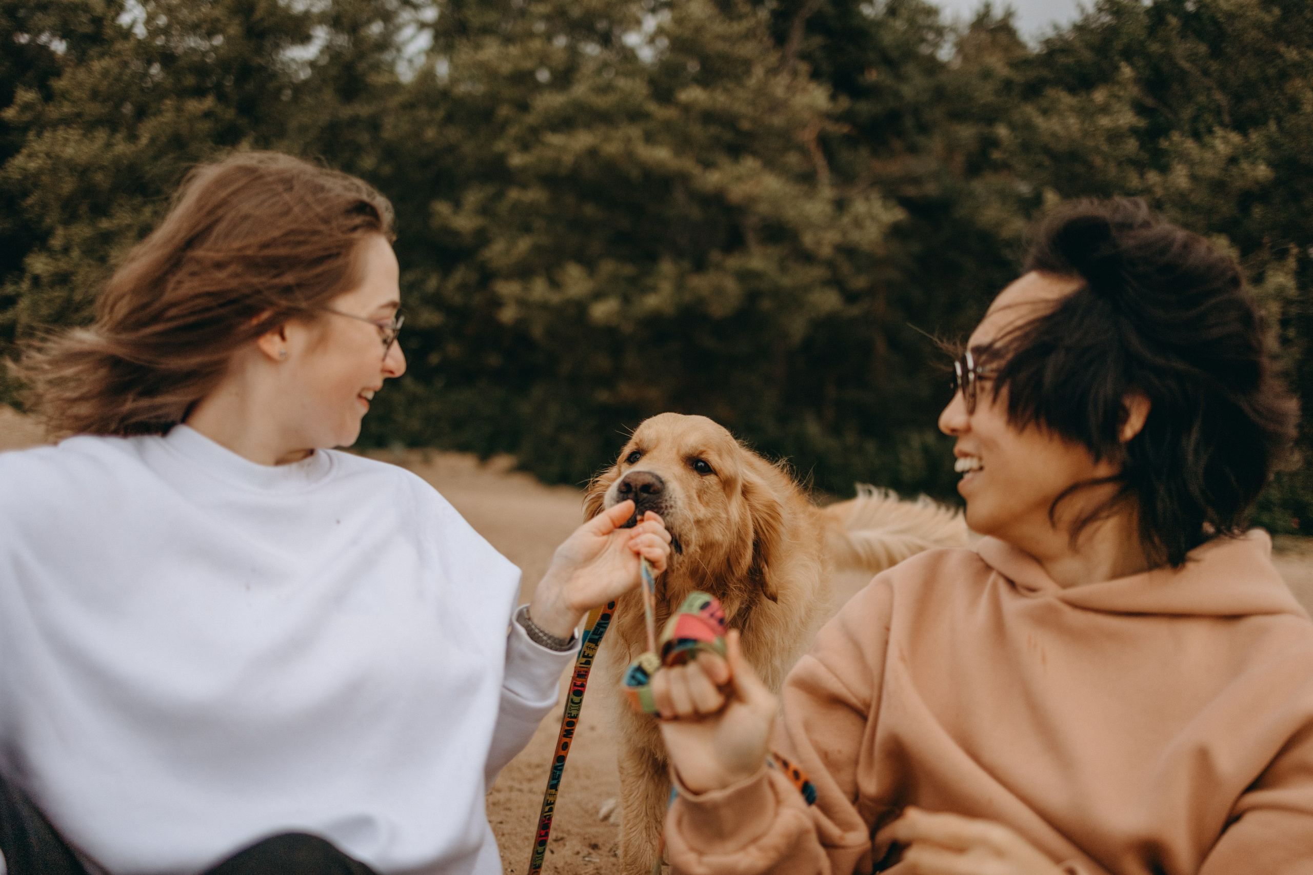 Фоси и его семьи. Фотограф — Анималист | Санкт-Петербург