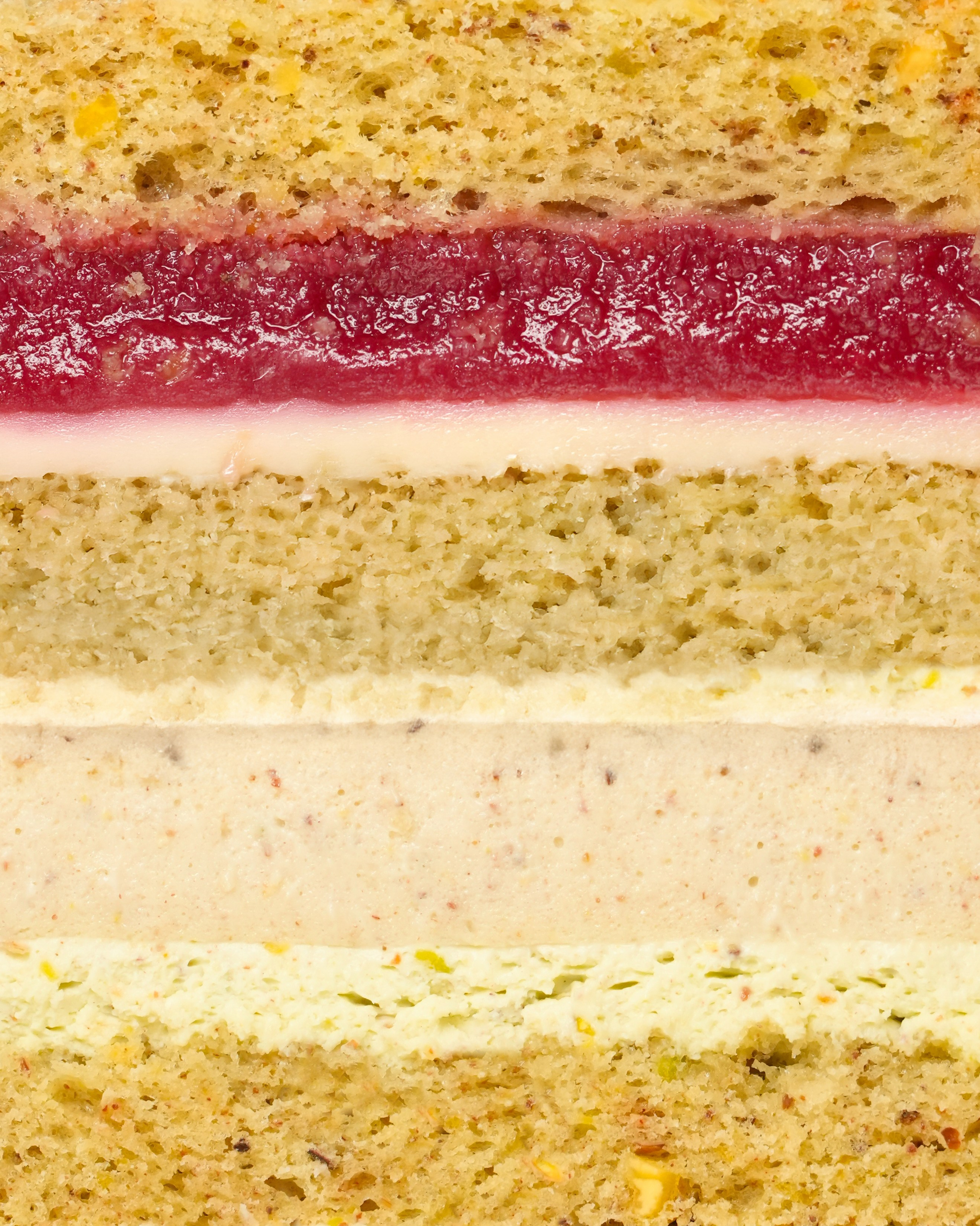 Sama Atelier. AMODEO STUDIO