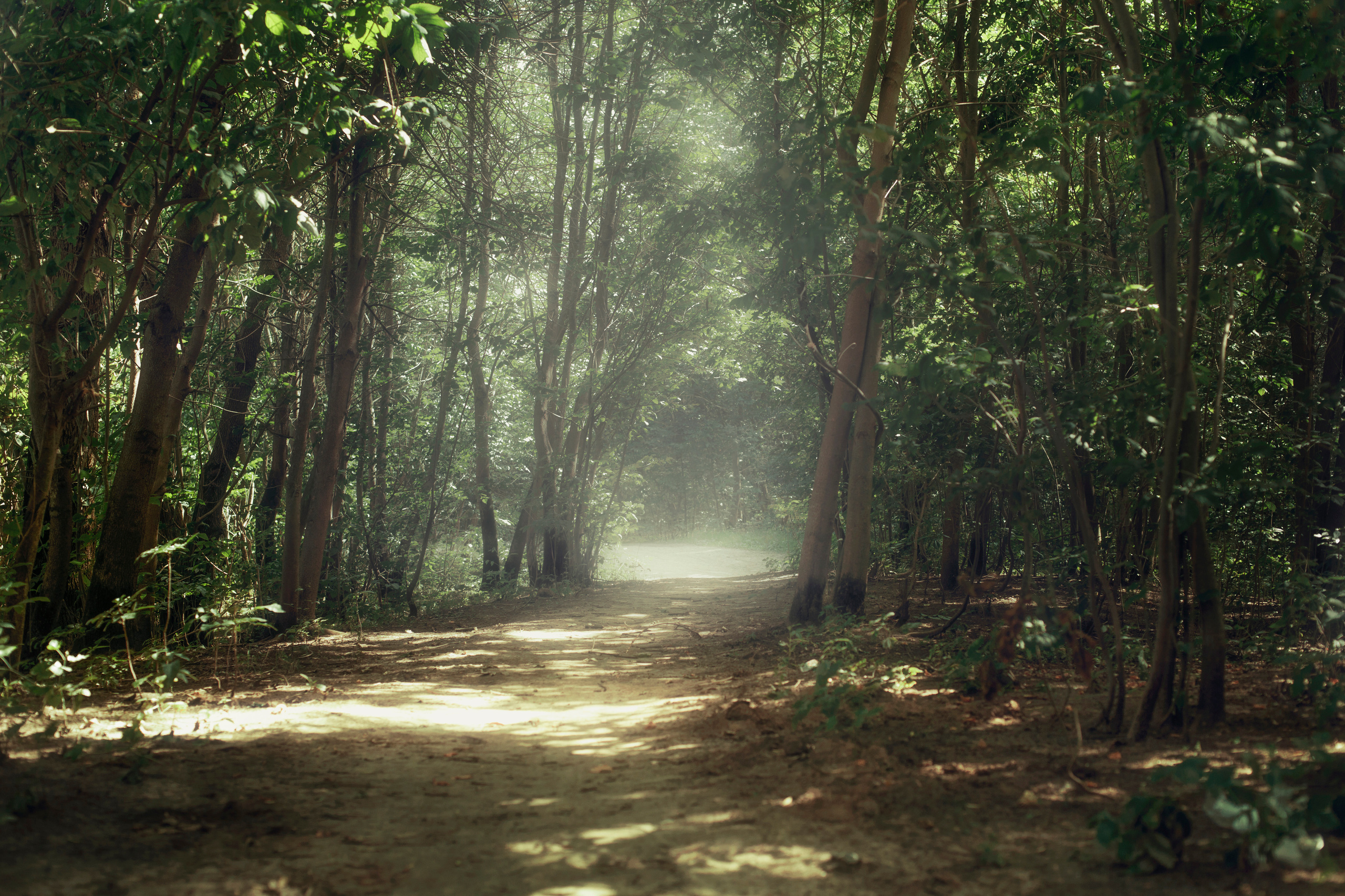Репортаж с прогулки вокруг озера. Фотограф (photographer) Lischinski Vitaliy